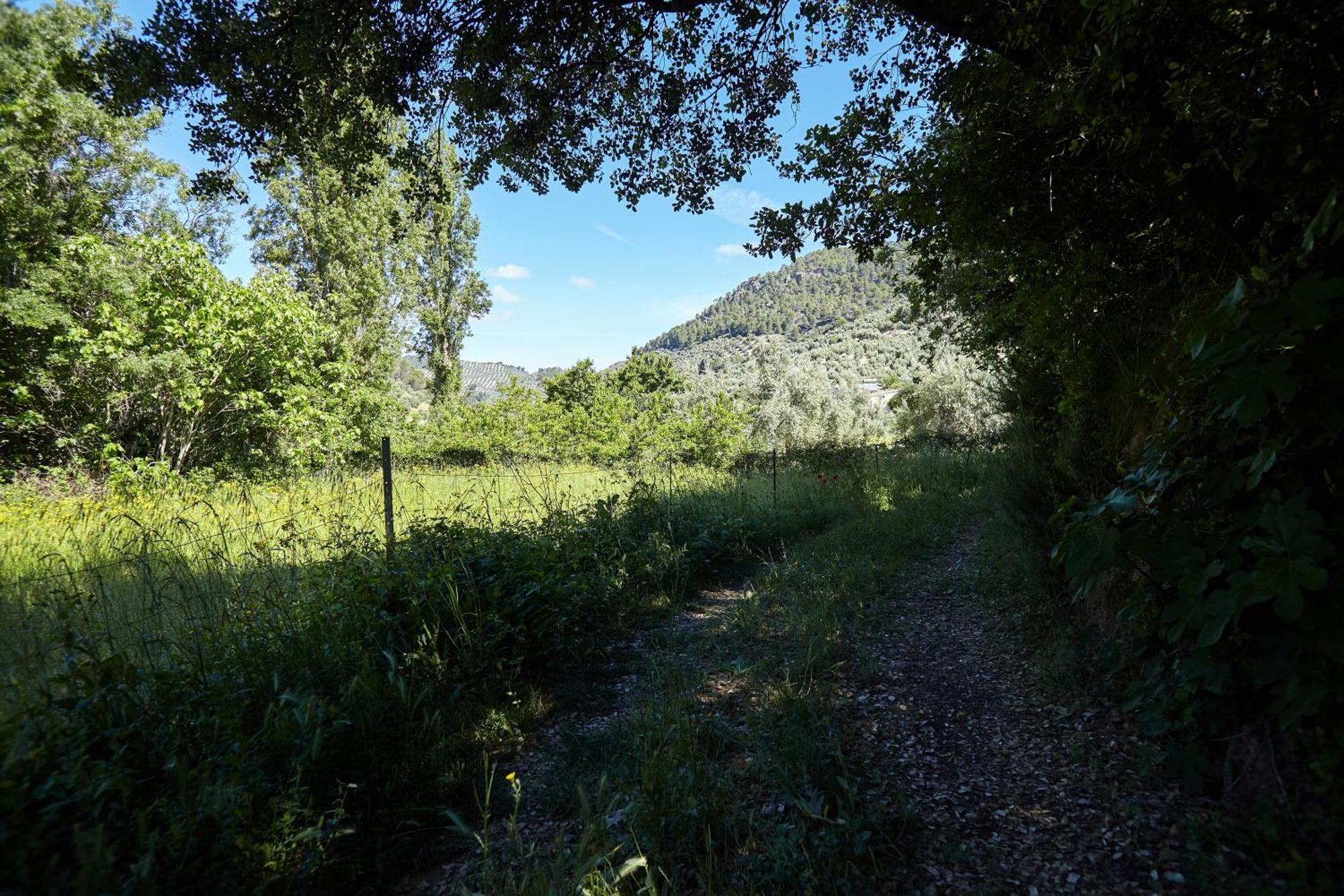 Cortijo El Soto * Beas de Segura