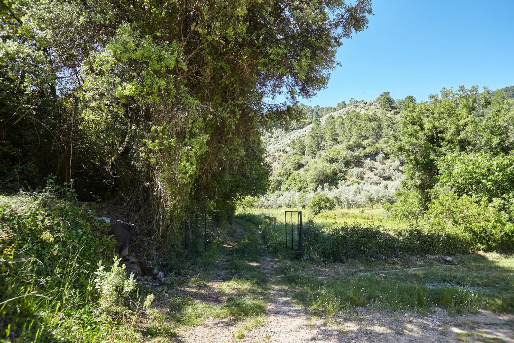 Cortijo El Soto *