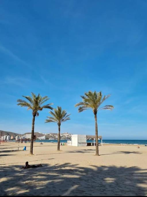 Apartamento Acogedor 200 Metros Playa *