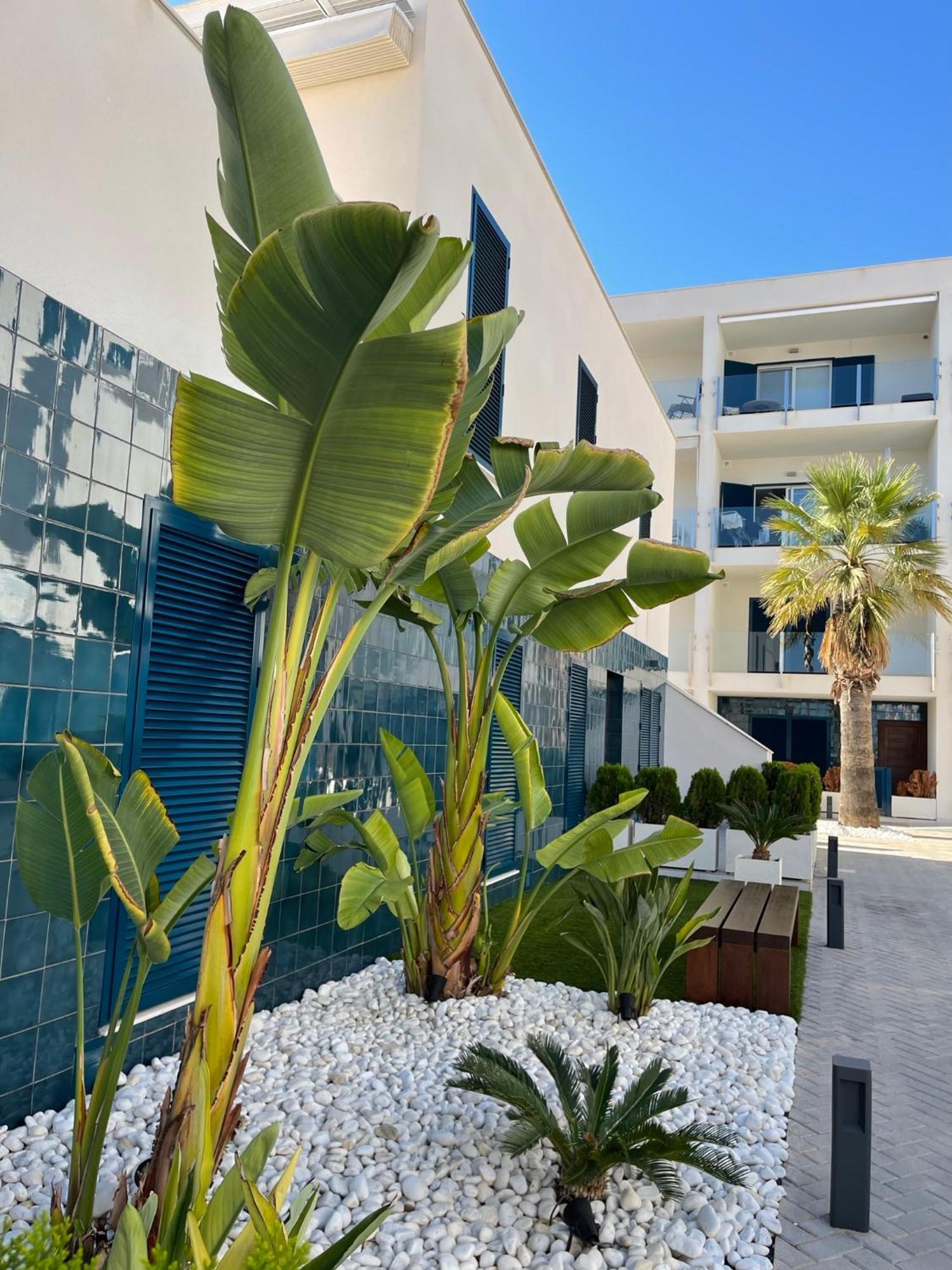 Apartment Hola Blanca - Sea, Golf, Chill *