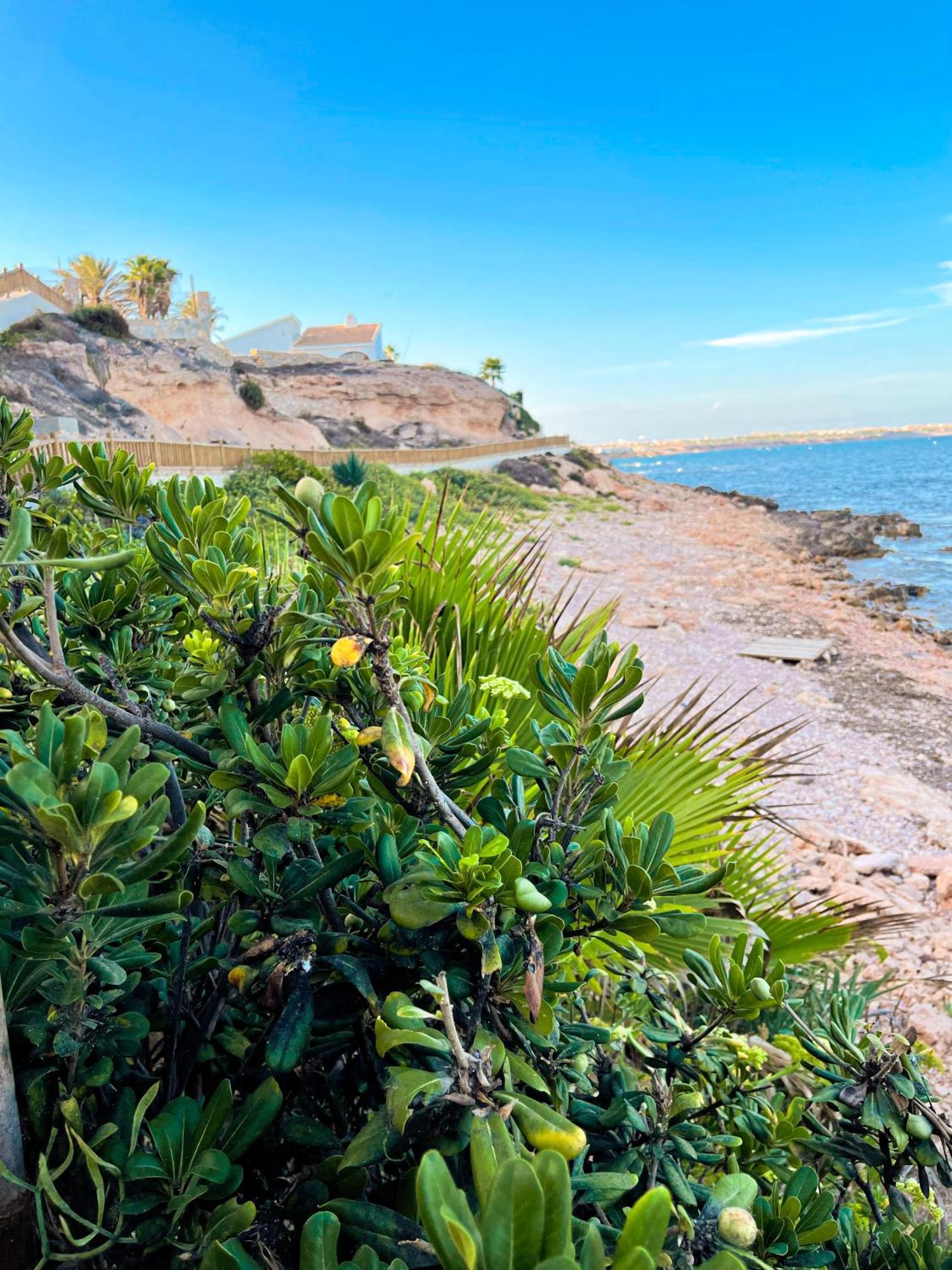 Hola Blanca - Sea, Golf, Chill Dehesa de Campoamor (Orihuela Costa)
