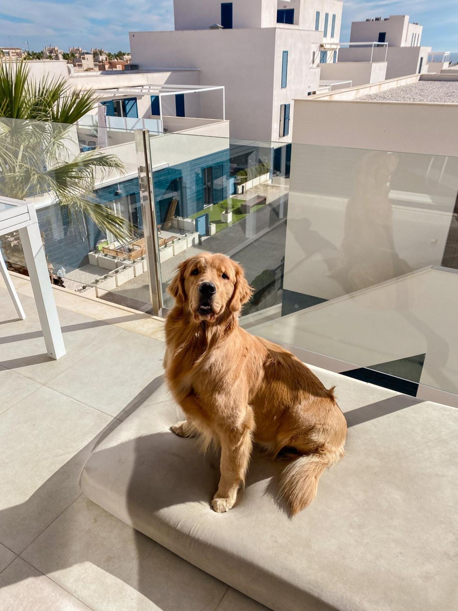 Hola Blanca - Sea, Golf, Chill Dehesa de Campoamor (Orihuela Costa)