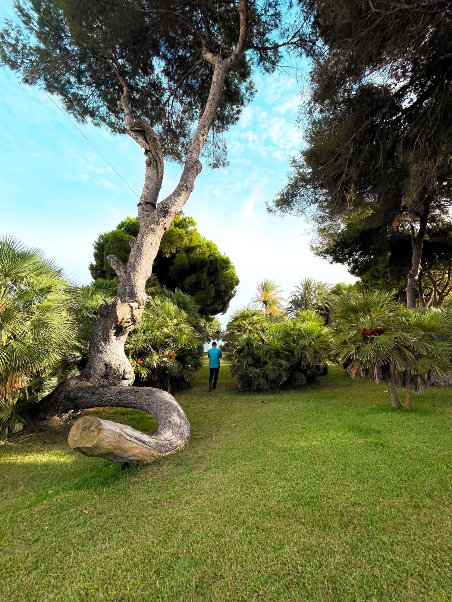 Apartment Hola Blanca - Sea, Golf, Chill