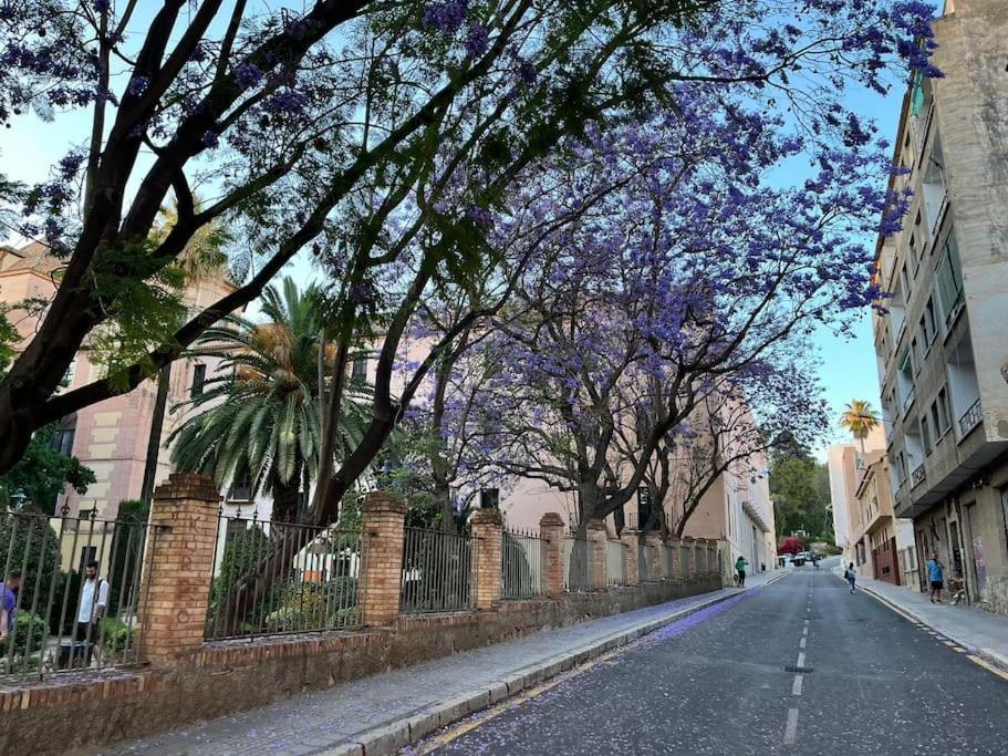 Apartamento Amar-cura