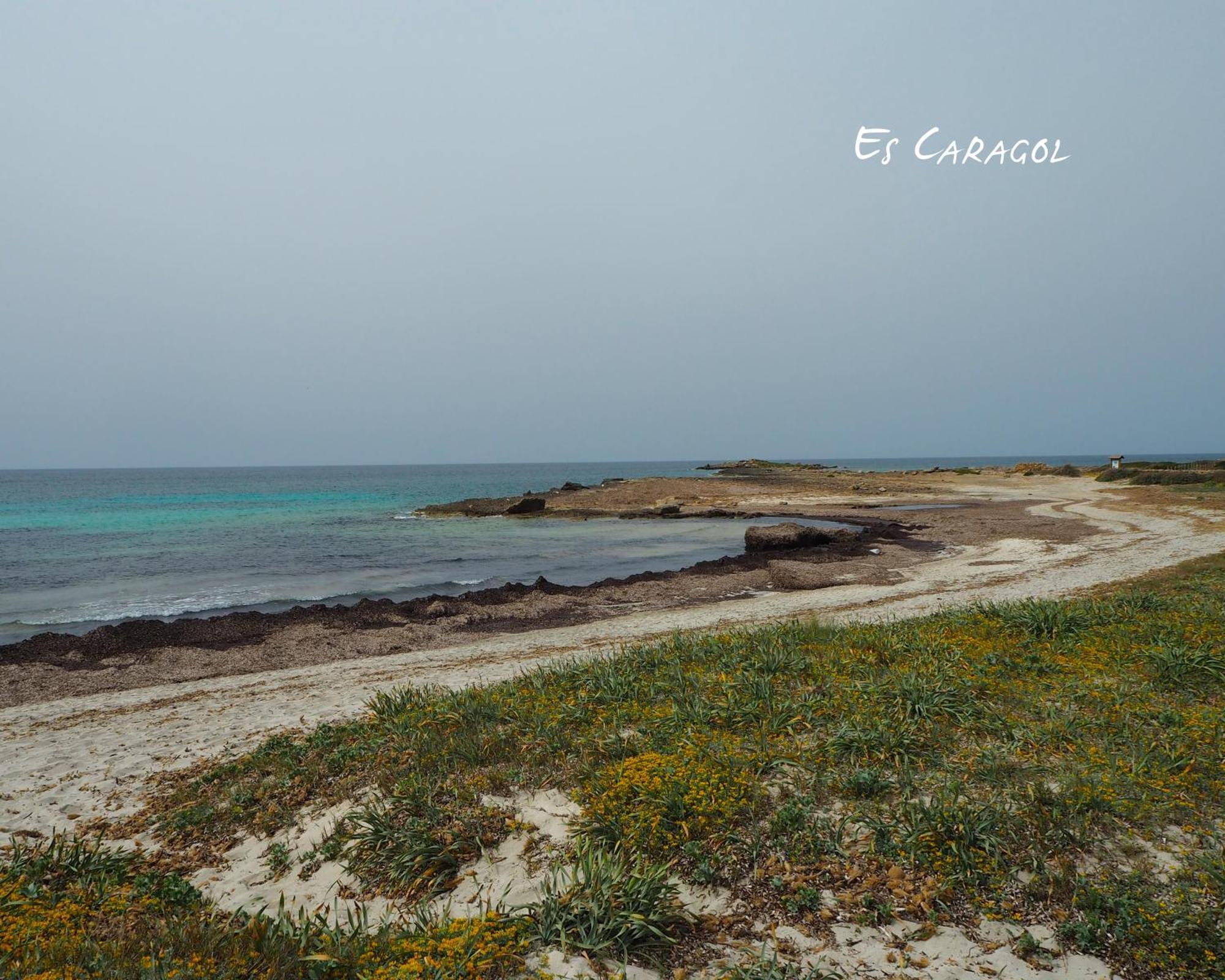 Rocamar 2* Cala Figuera (Mallorca)