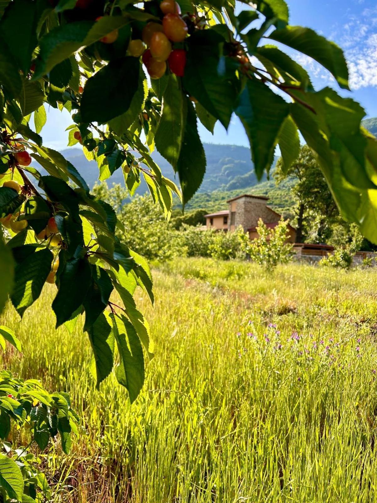 Molino Del Jerte *
