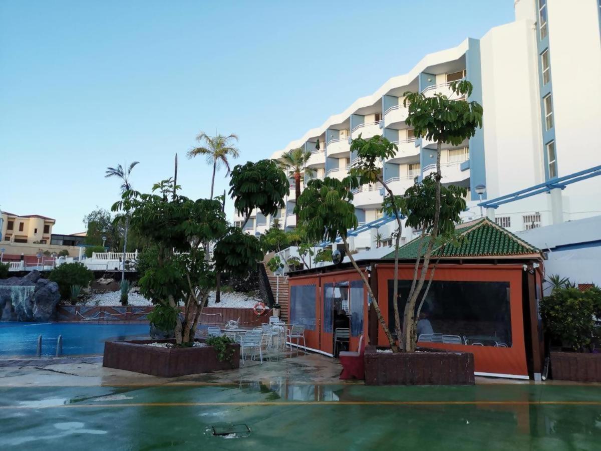 Amplio Estudio En Golf Del Sur Gp123 Apartamento