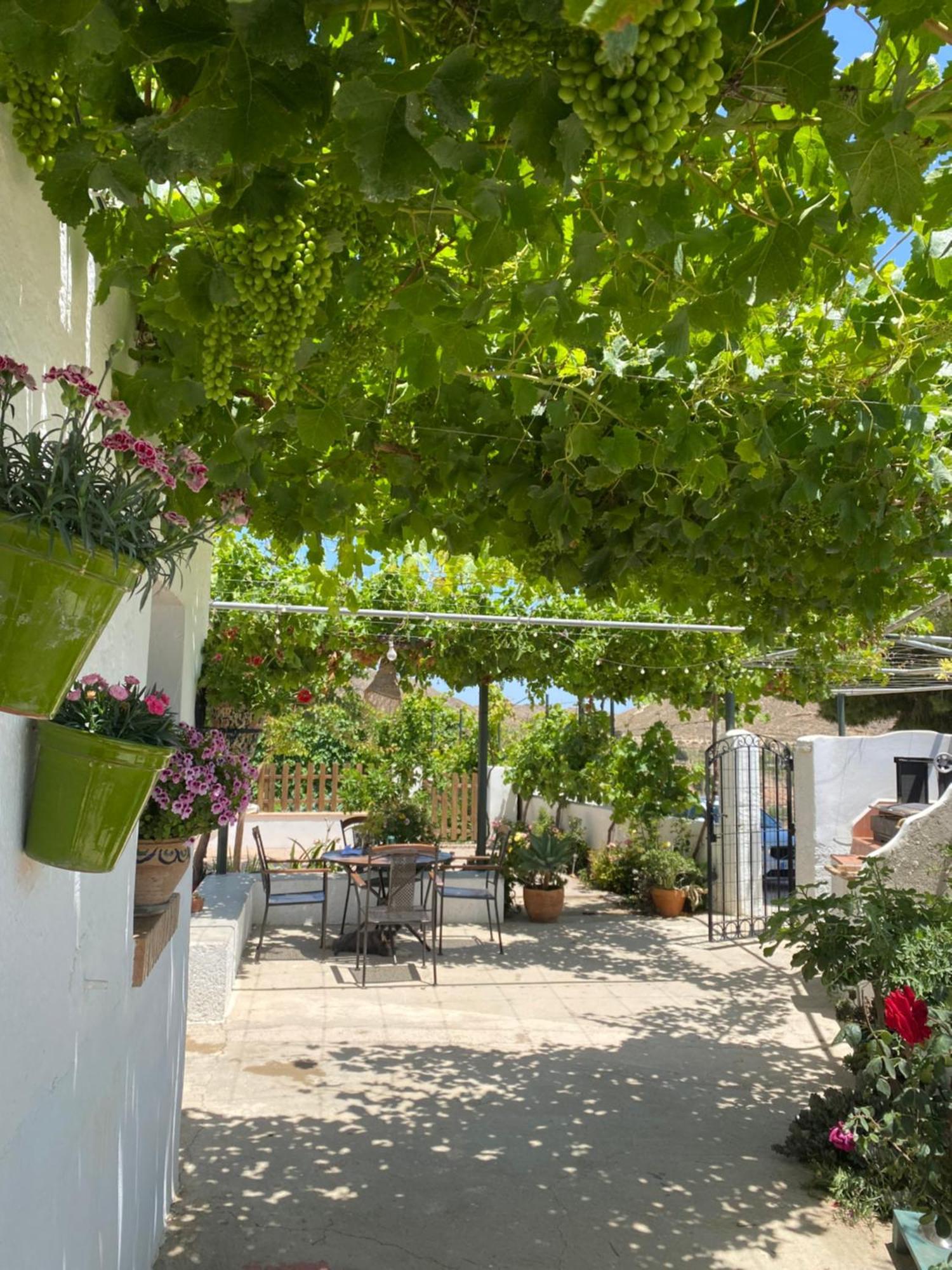 Holiday home El Majuelo 2 *