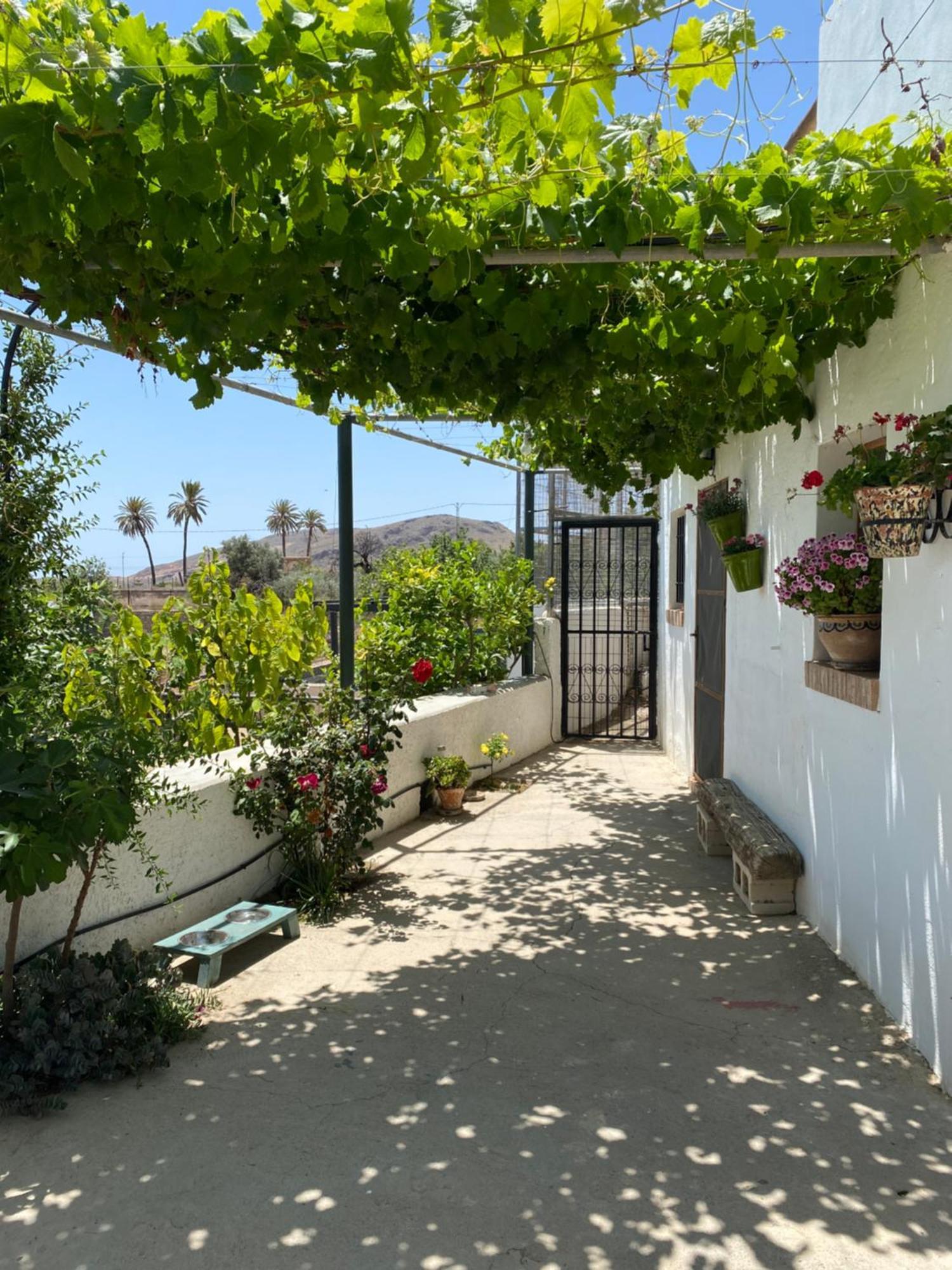El Majuelo 2 Holiday home
