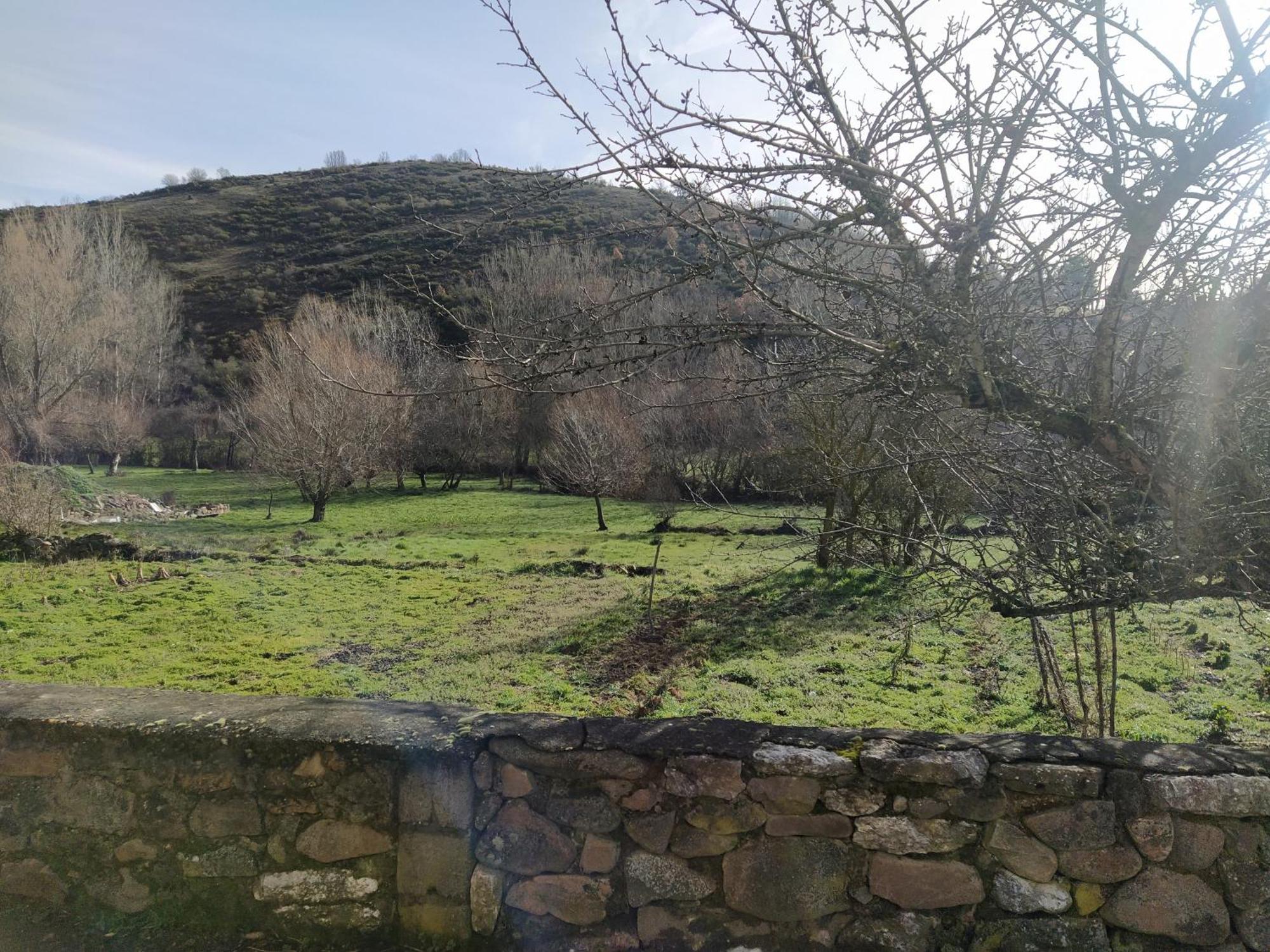 La Casa Del Pueblo El Berrugon Сasa de vacaciones Carrocera