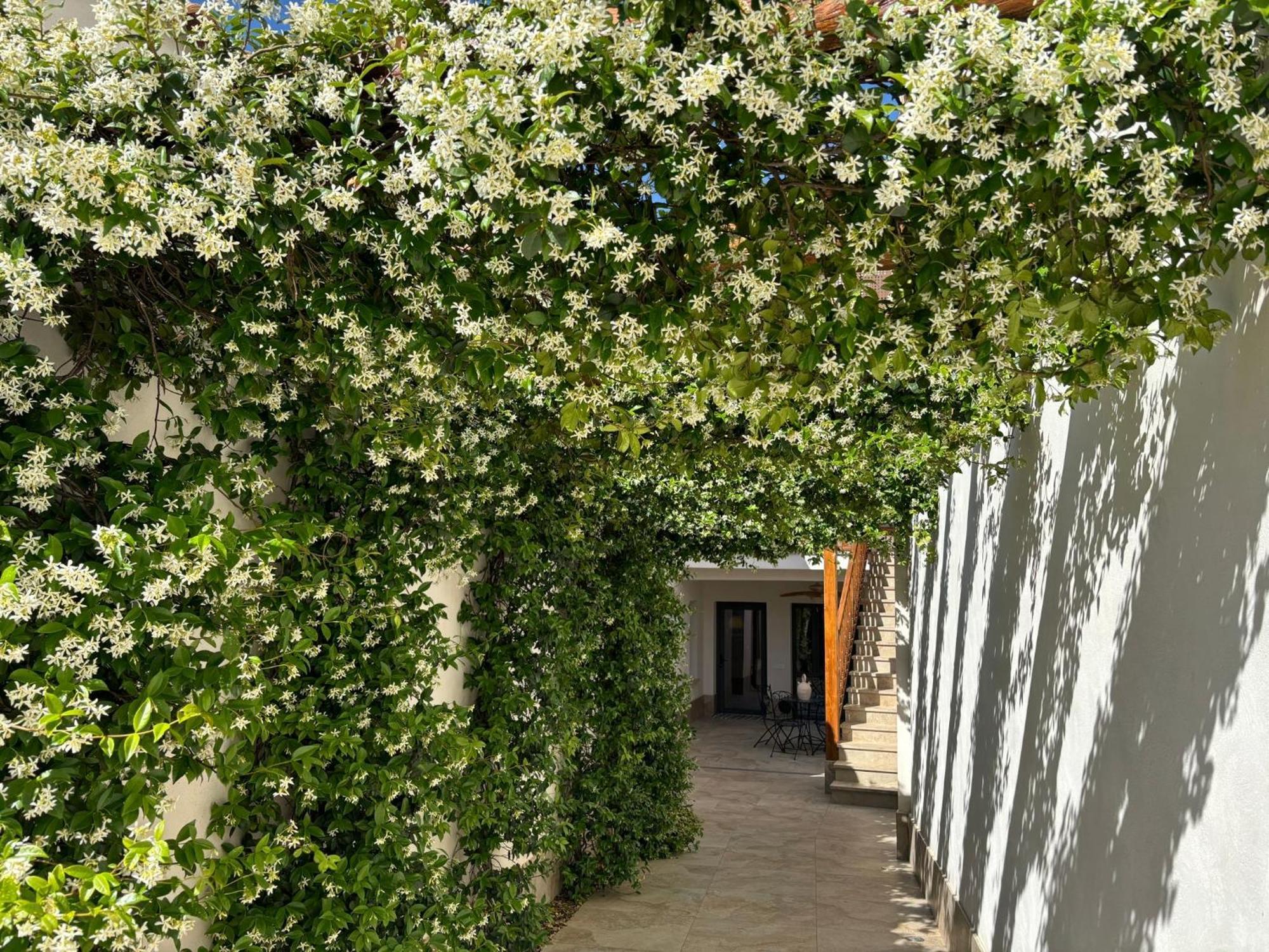 Country house El Patio De Jazmines Boutique-house Consuegra
