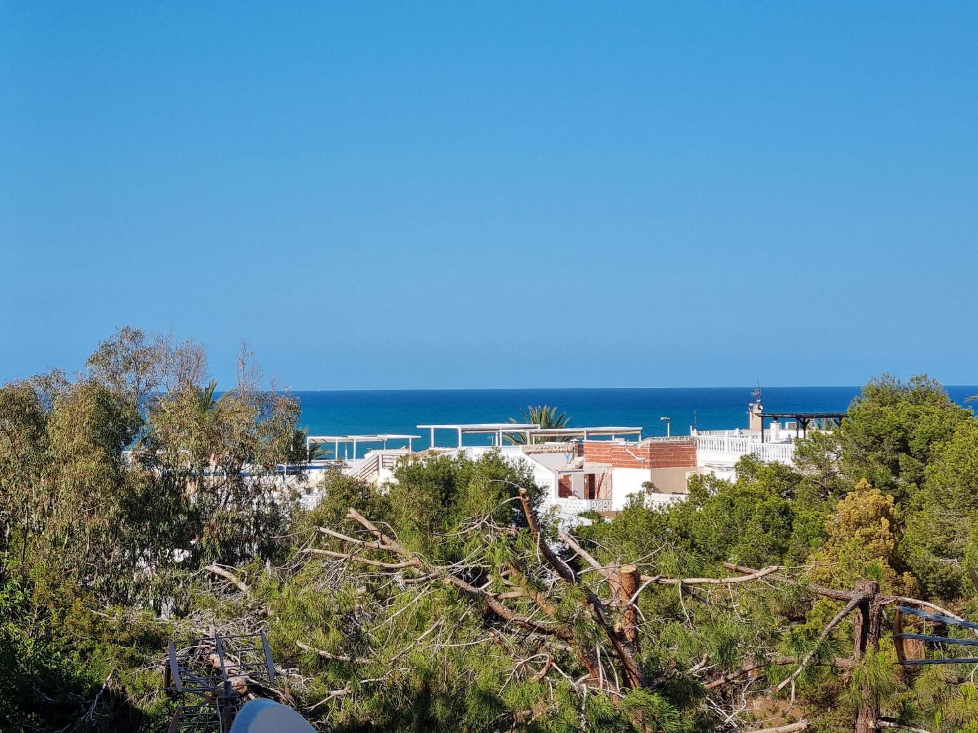 Cozy And Sunny Two Bedroom La Mata Beach * Torrevieja
