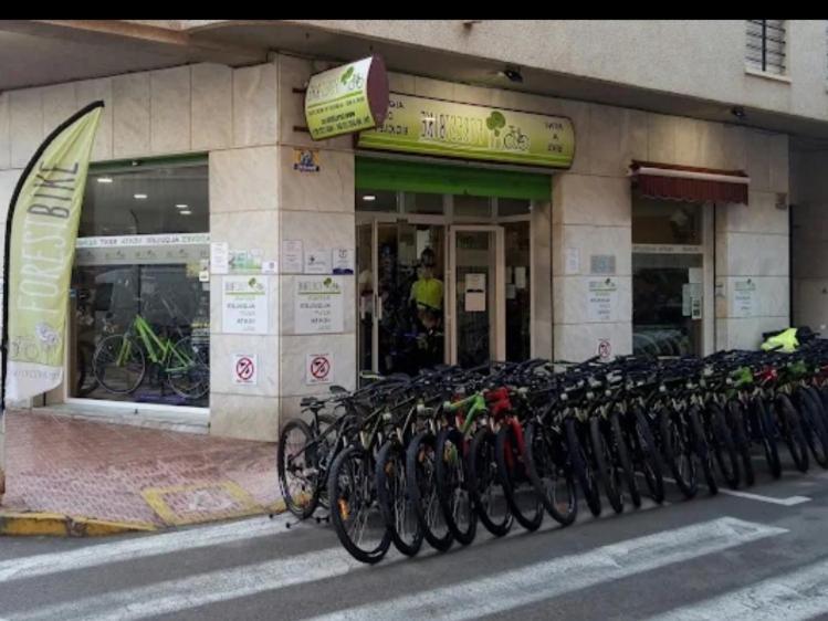 Estudio Torrevieja P & A
