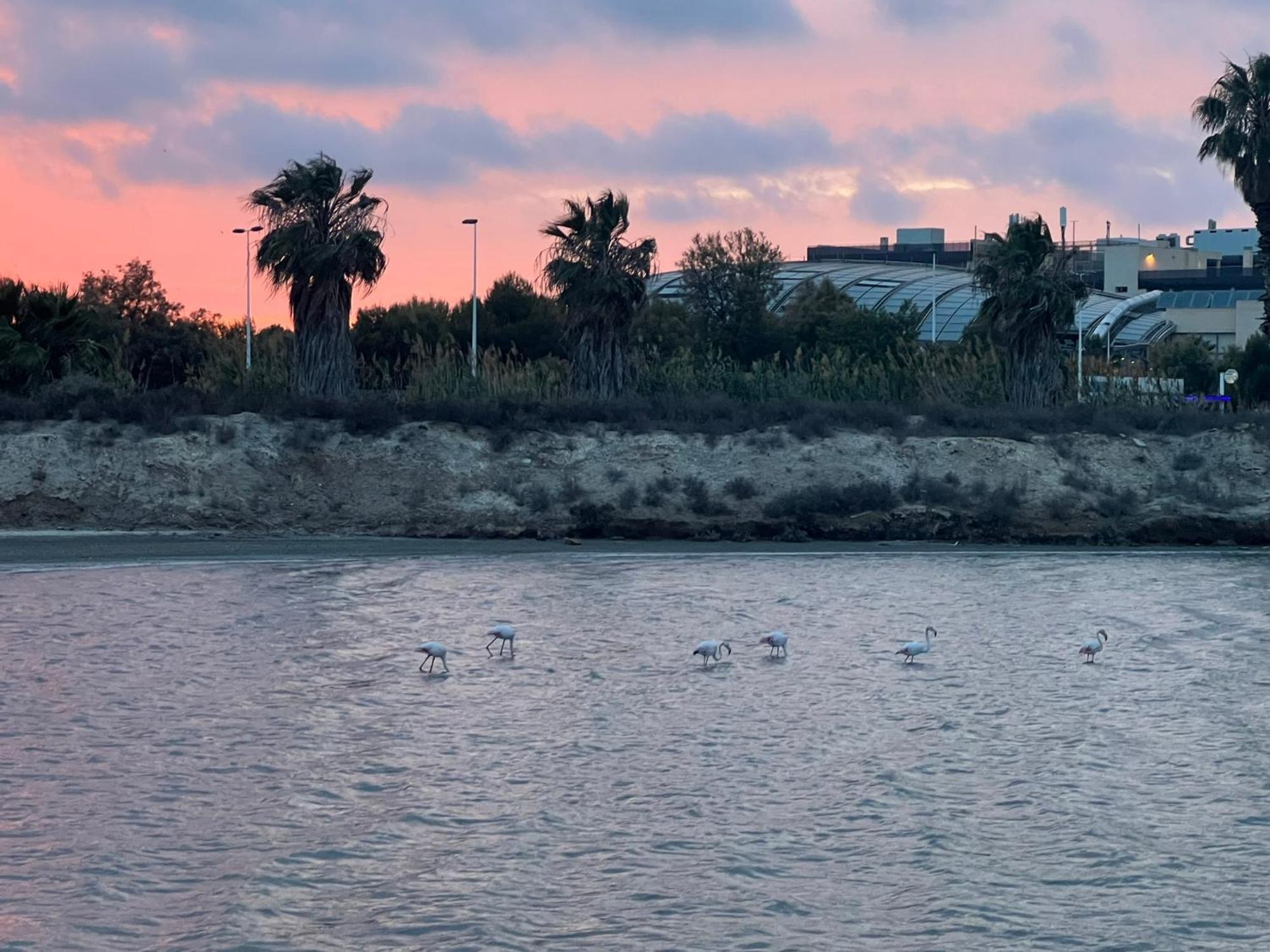 Mar Menor Paradise By Pinos Holidays Apartamento *