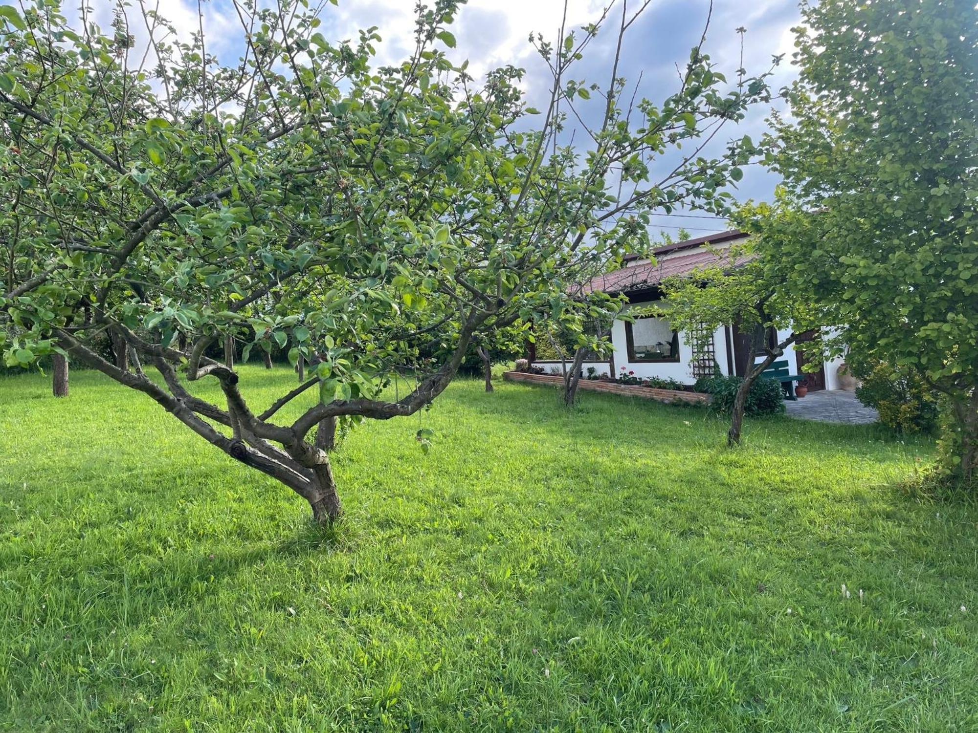 Casa Benjamin
