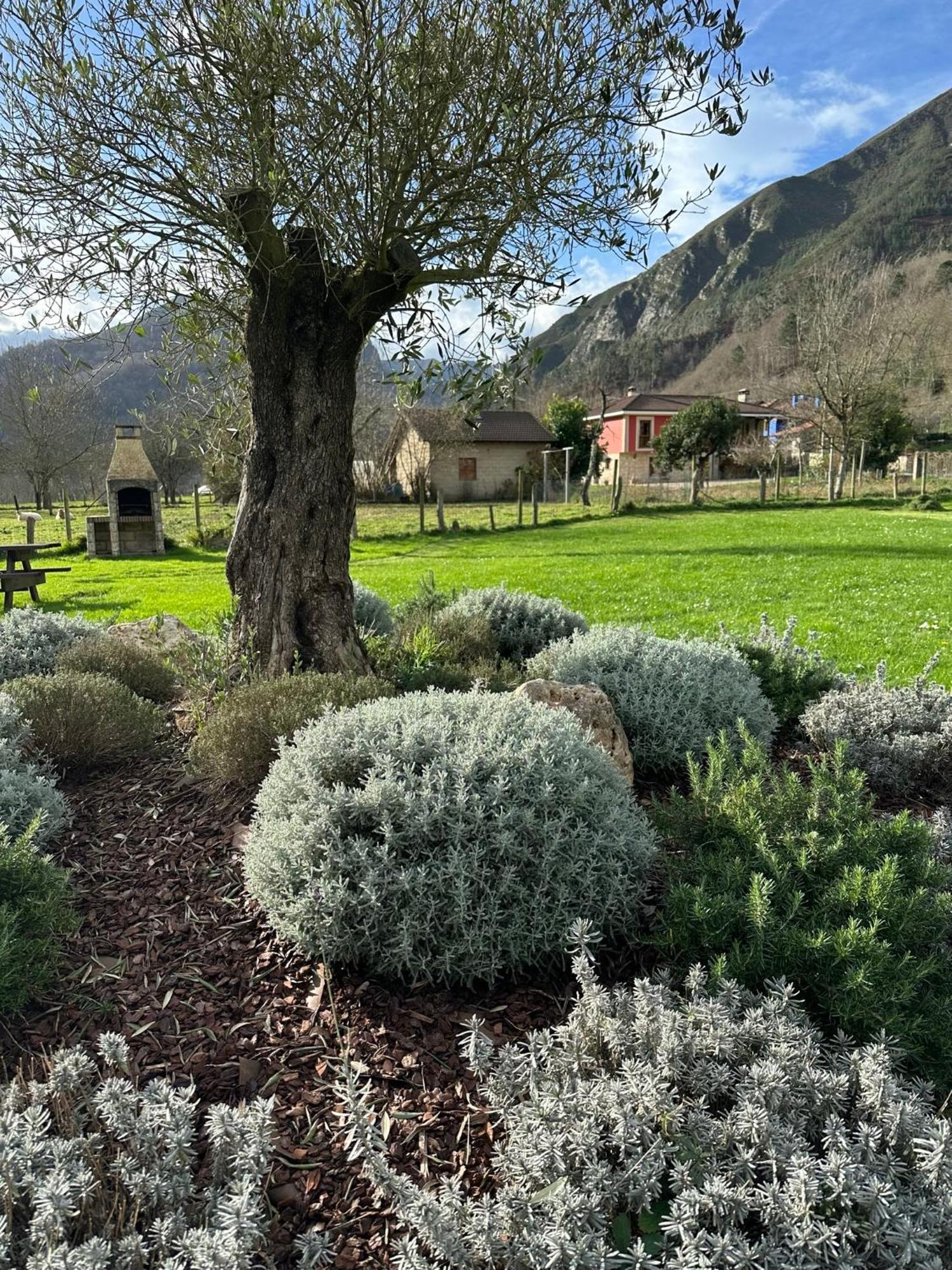 Сasa de vacaciones Nasares San Juan de Parres