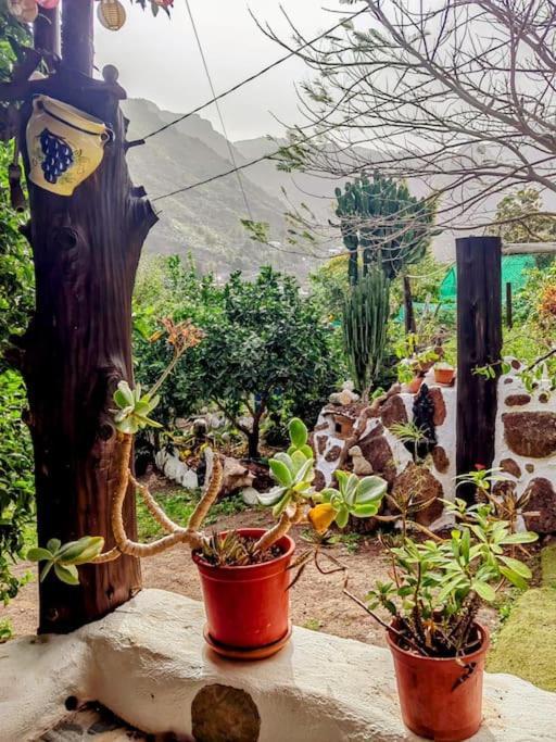 Tamadaba * Agaete (Gran Canaria)