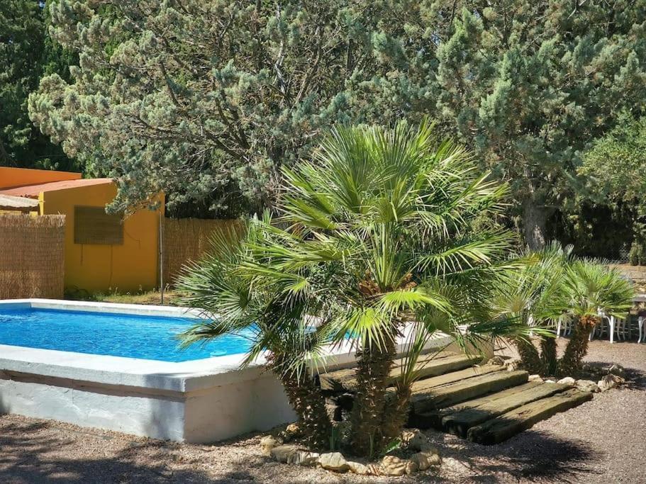 El Rincon De La Luz