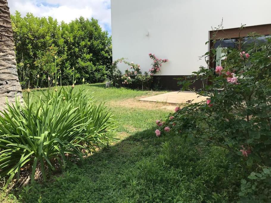 Villa Xauxa - Vida Mediterranea Gandía
