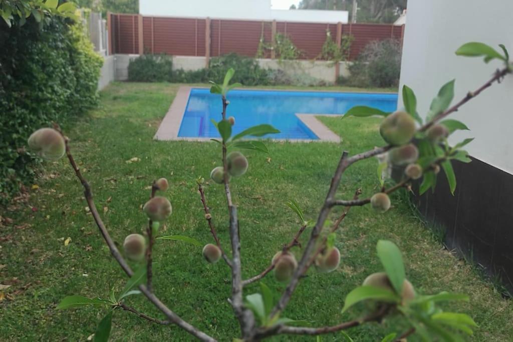 Xauxa - Vida Mediterranea Villa