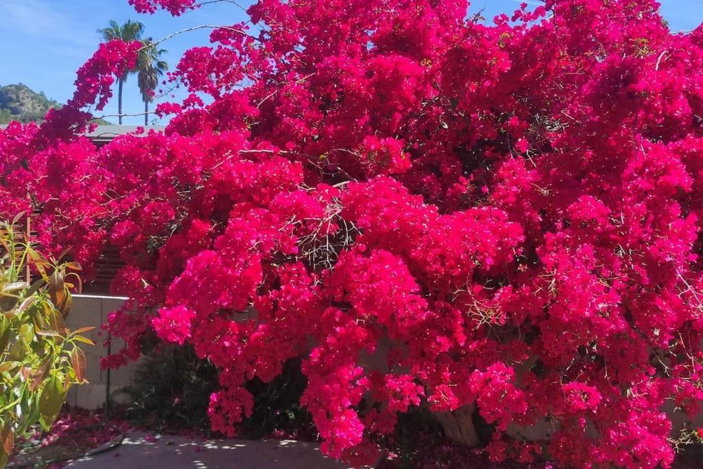 Villa Xauxa - Vida Mediterranea