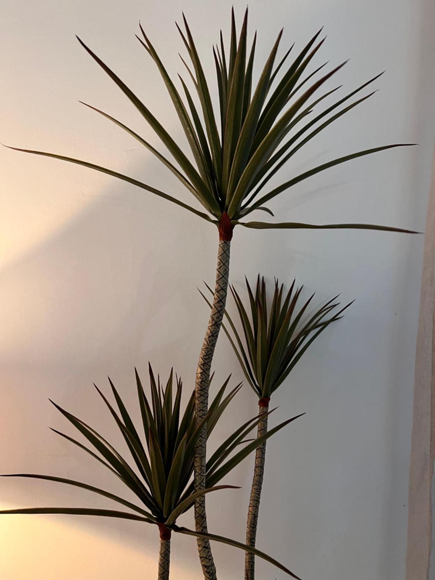 Apartamento Bambu Carboneras