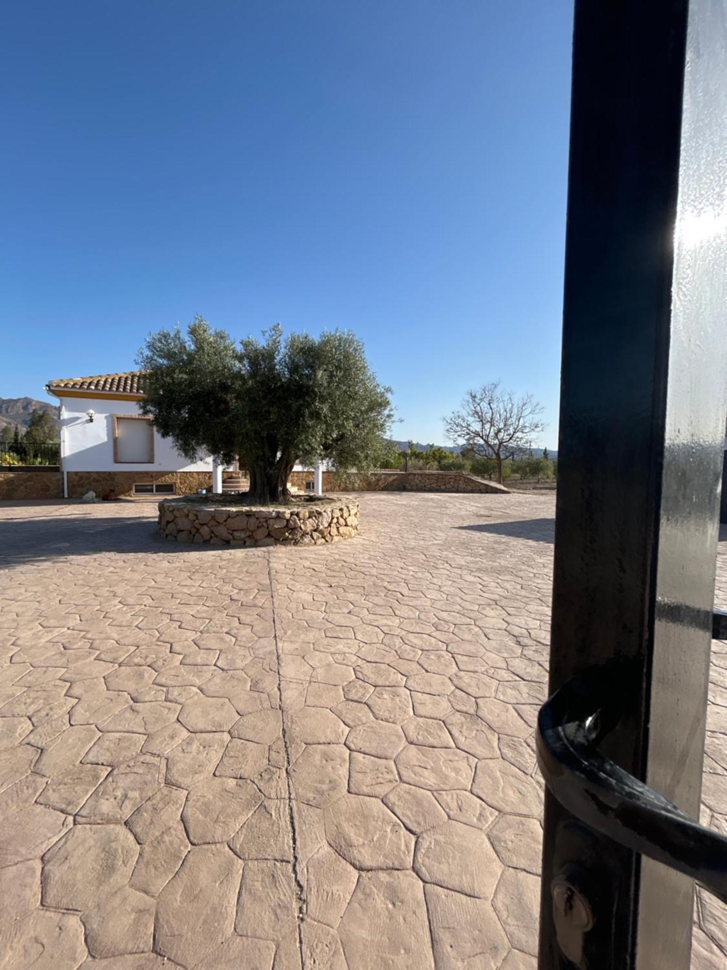 Los Siete Olivos Villa Turre