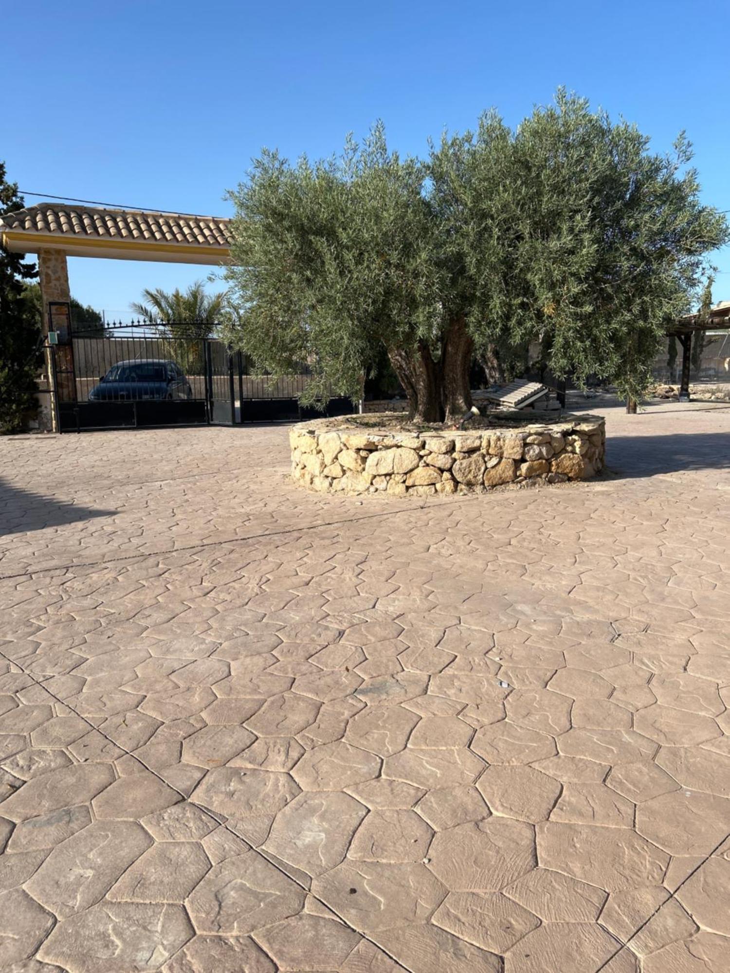 Villa Los Siete Olivos *