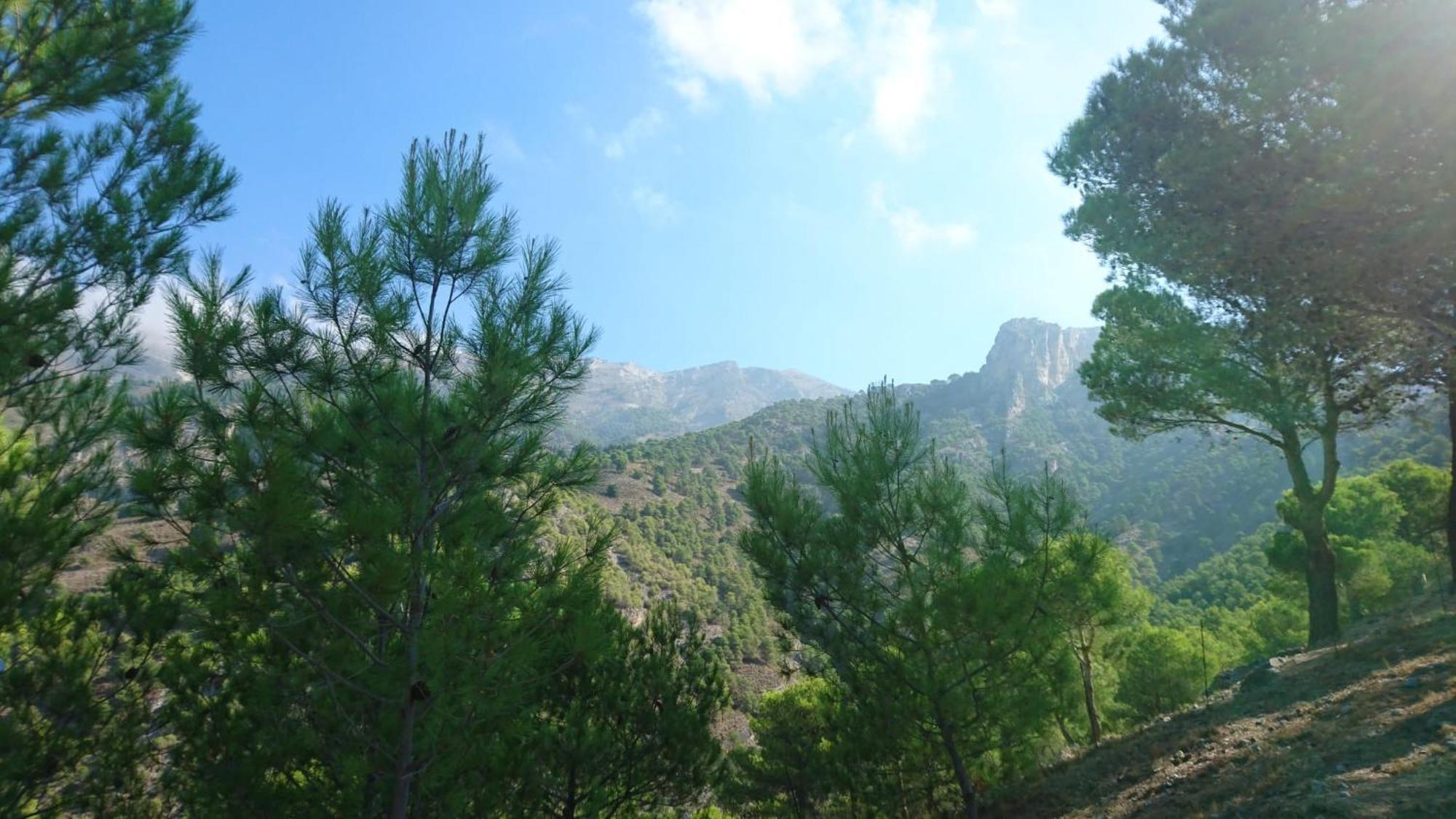 Casa Alta - Exclusive Large Luxury Private Villa, Large Pool, Amazing Views, On The Edge Of The Village And Next To Natural Park *