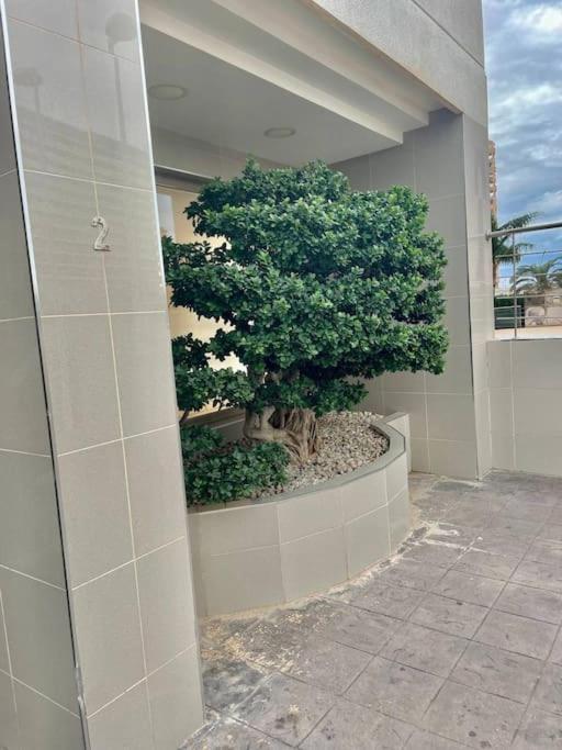 Enjoy Apartment Aparcamiento 5 Min De La Playa Calpe