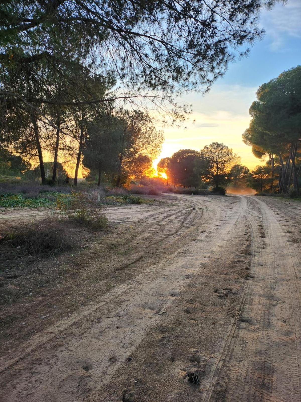 Country house Hacienda Olontigi