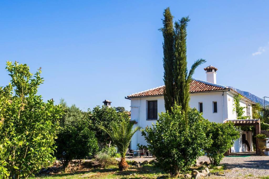 Huerta La Terrona * Grazalema