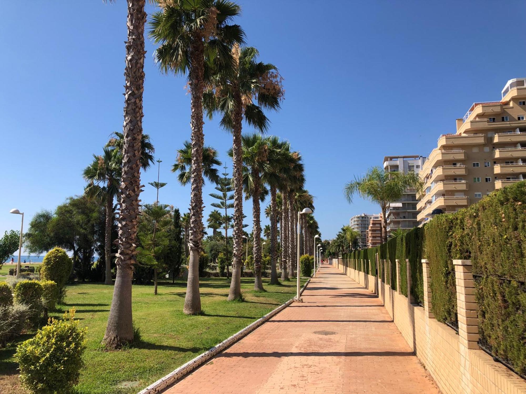 Edessa - Primera Linea Oropesa del Mar