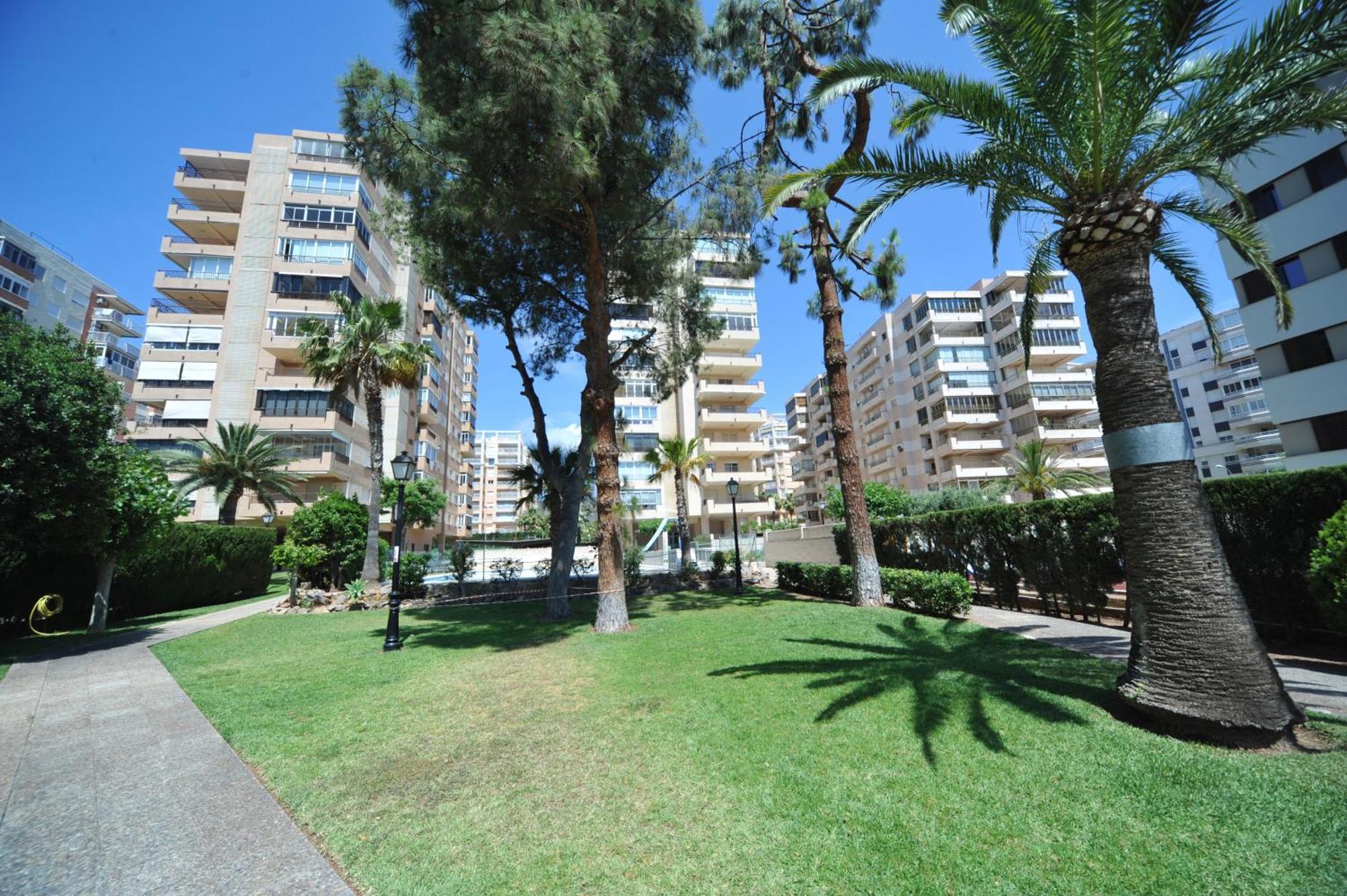 Madeira Superior Orangecosta * Benicàssim