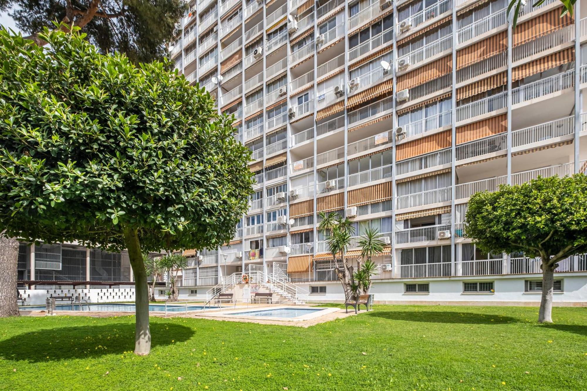 Albatros 12-8 Benidorm
