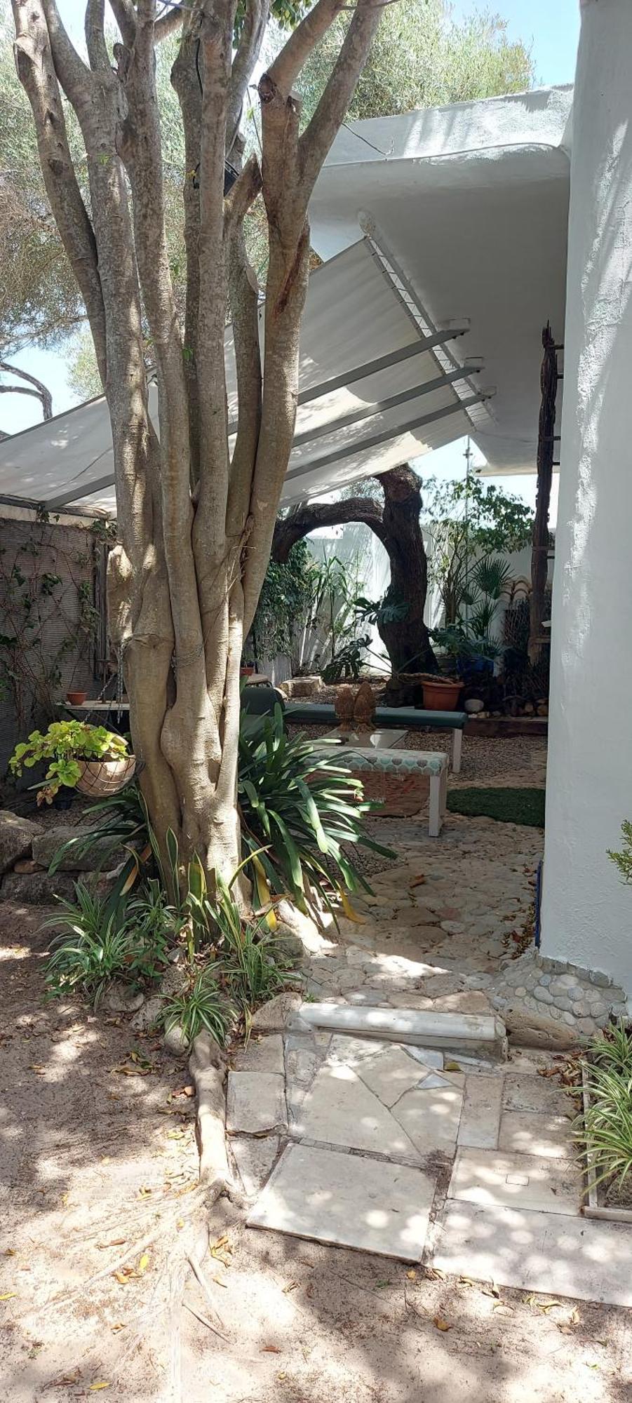 Mi Cachito *