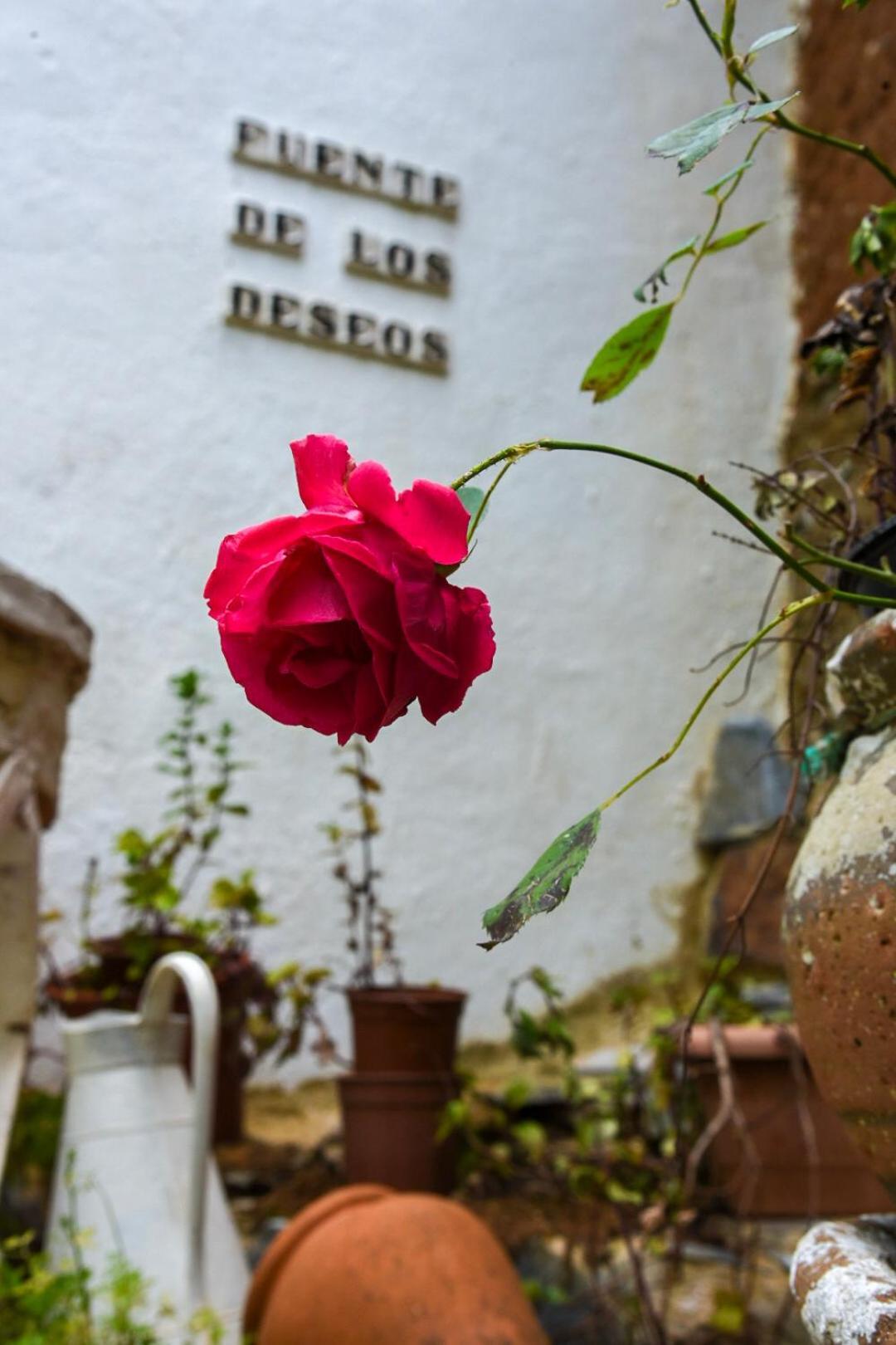 Hospederia De La Corte Casa Rural Con Encanto En La Sierra De Aracena
