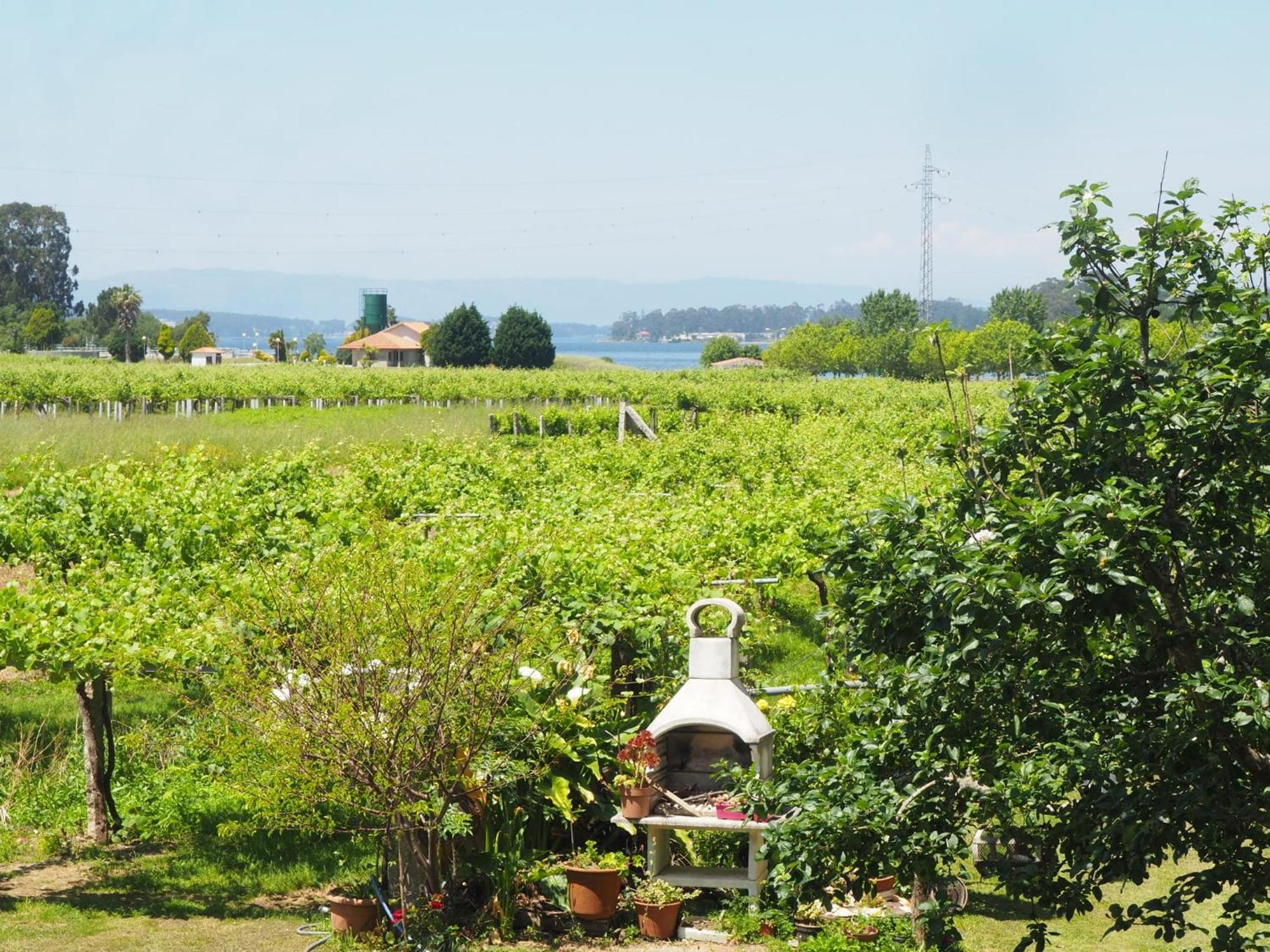 Homestay O Cunchal