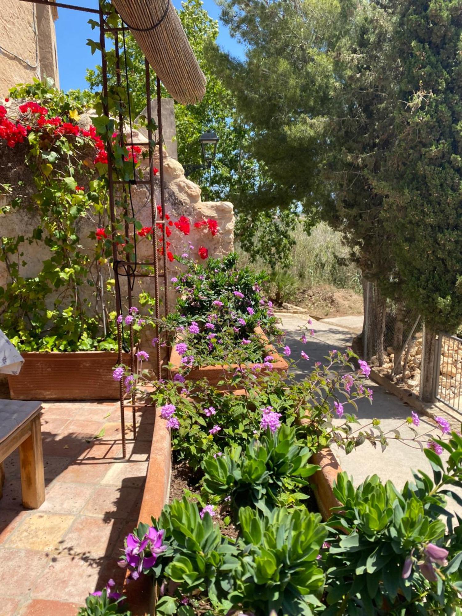 Con Jardin,a 8km Playa Y En La Naturaleza Taronja&canyella Holiday home Ardenya