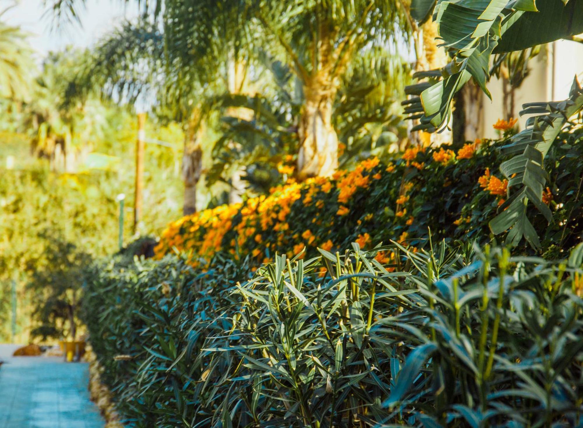 Sierra Blanca Hotel Marbella
