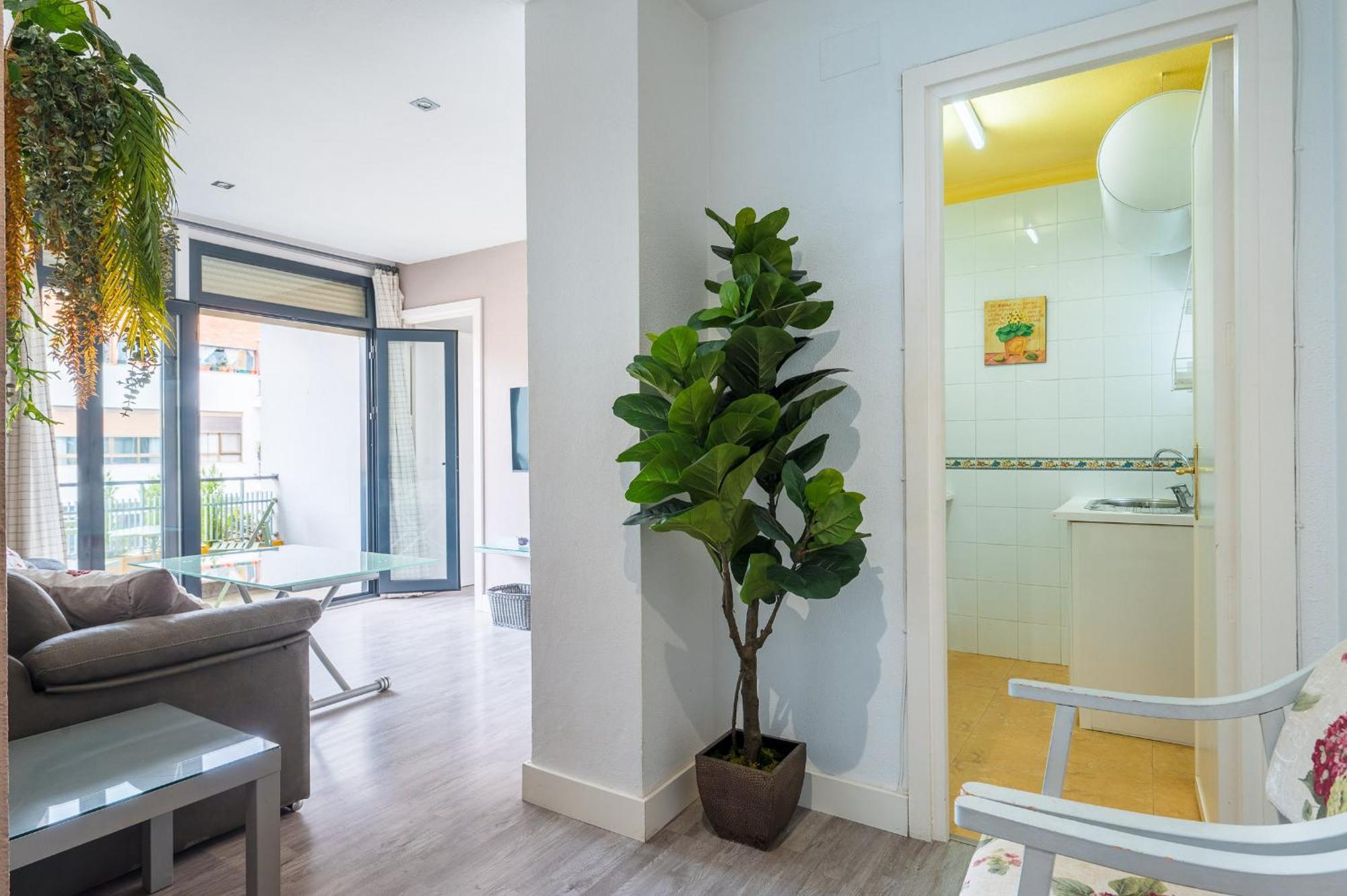 Imagen Metrosol Apartamento