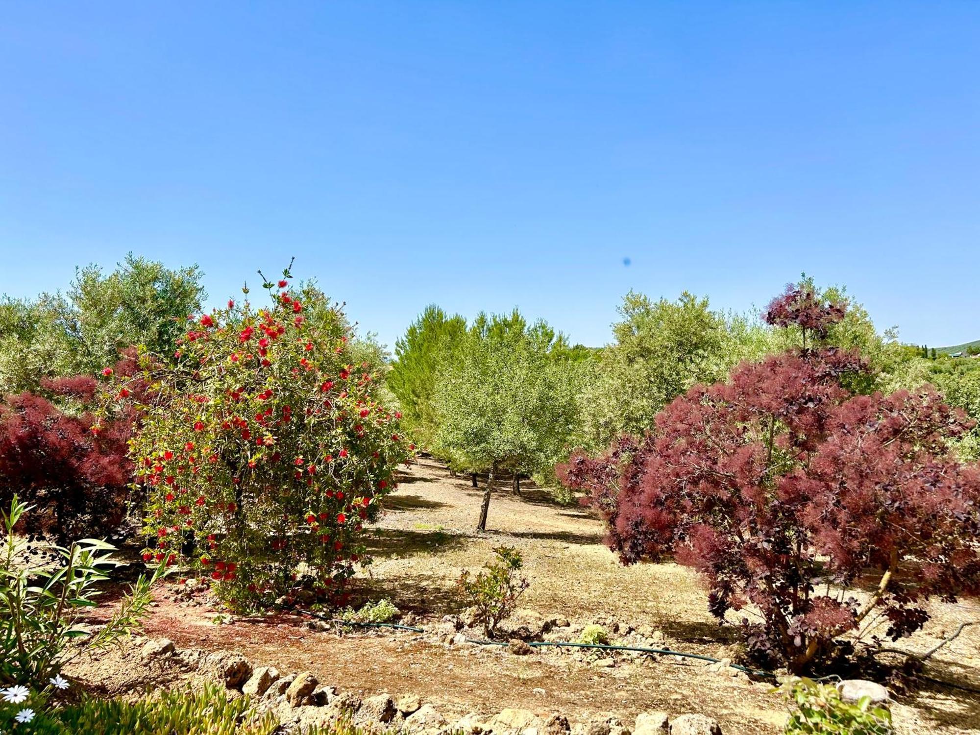 Сasa de vacaciones Tradicional Andaluza Con Piscina Privada Villanueva de Tapia
