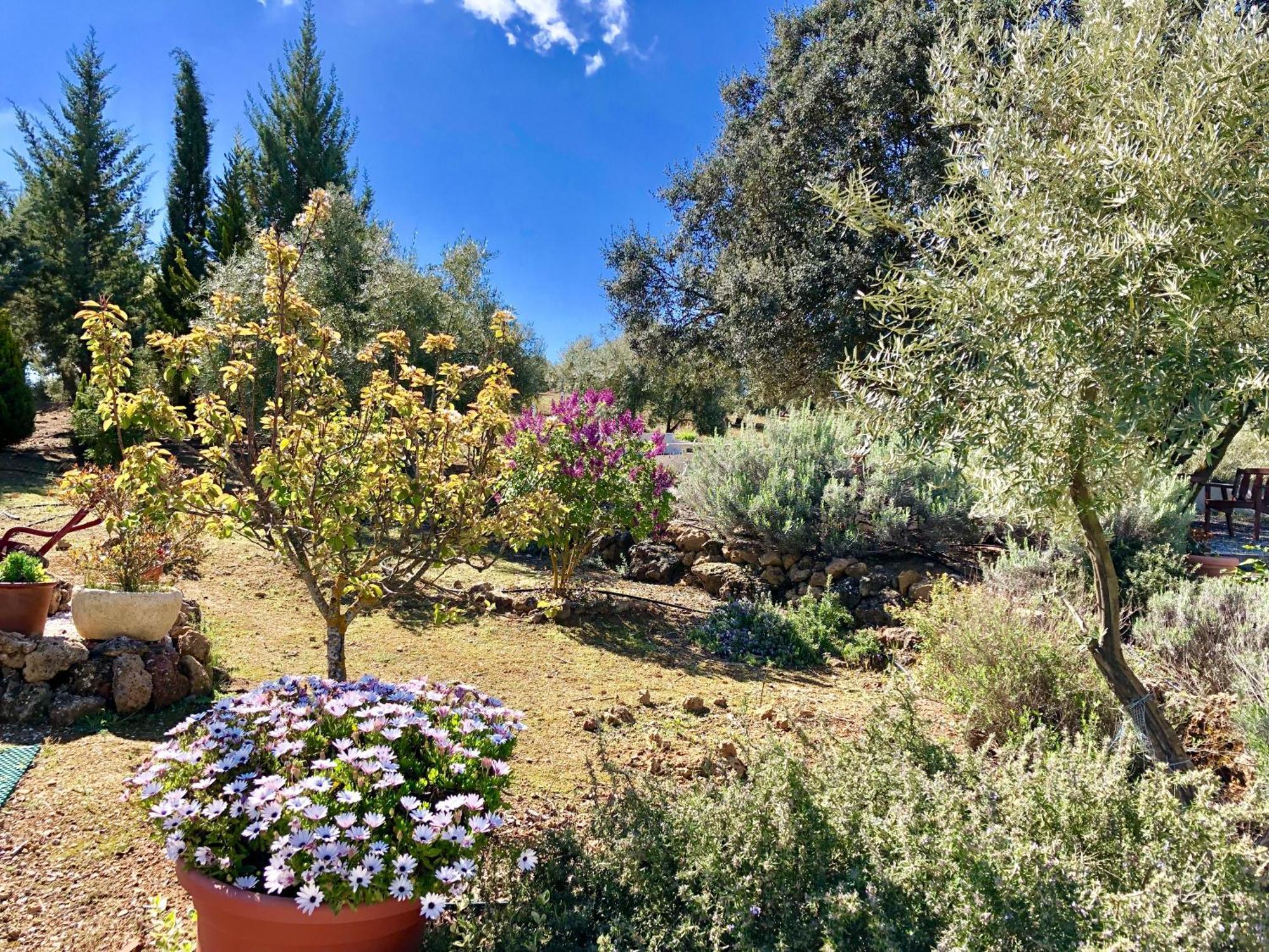 Tradicional Andaluza Con Piscina Privada Сasa de vacaciones