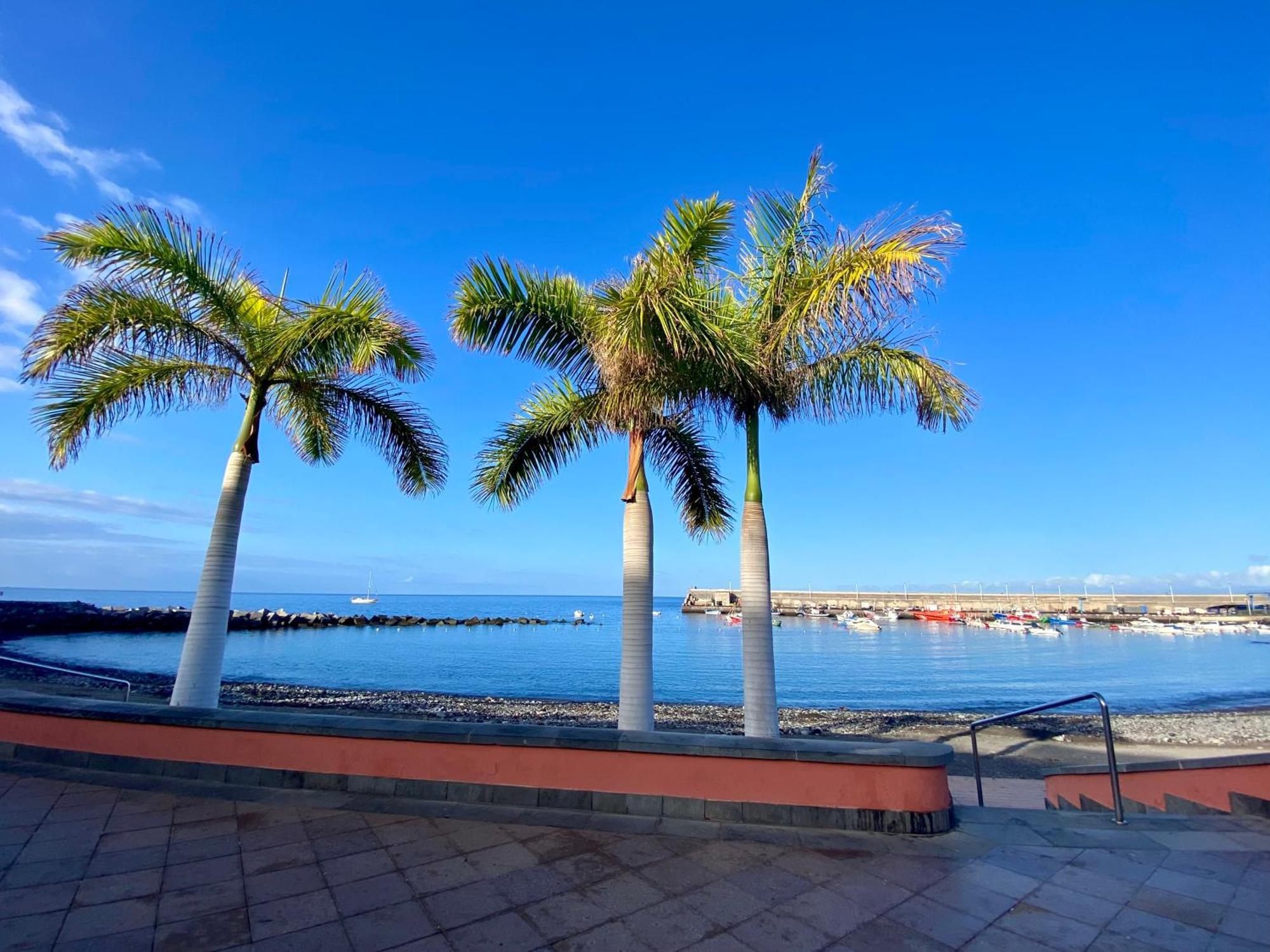 Apartment Casa Antonio - Luna Playa de San Juan (Tenerife)