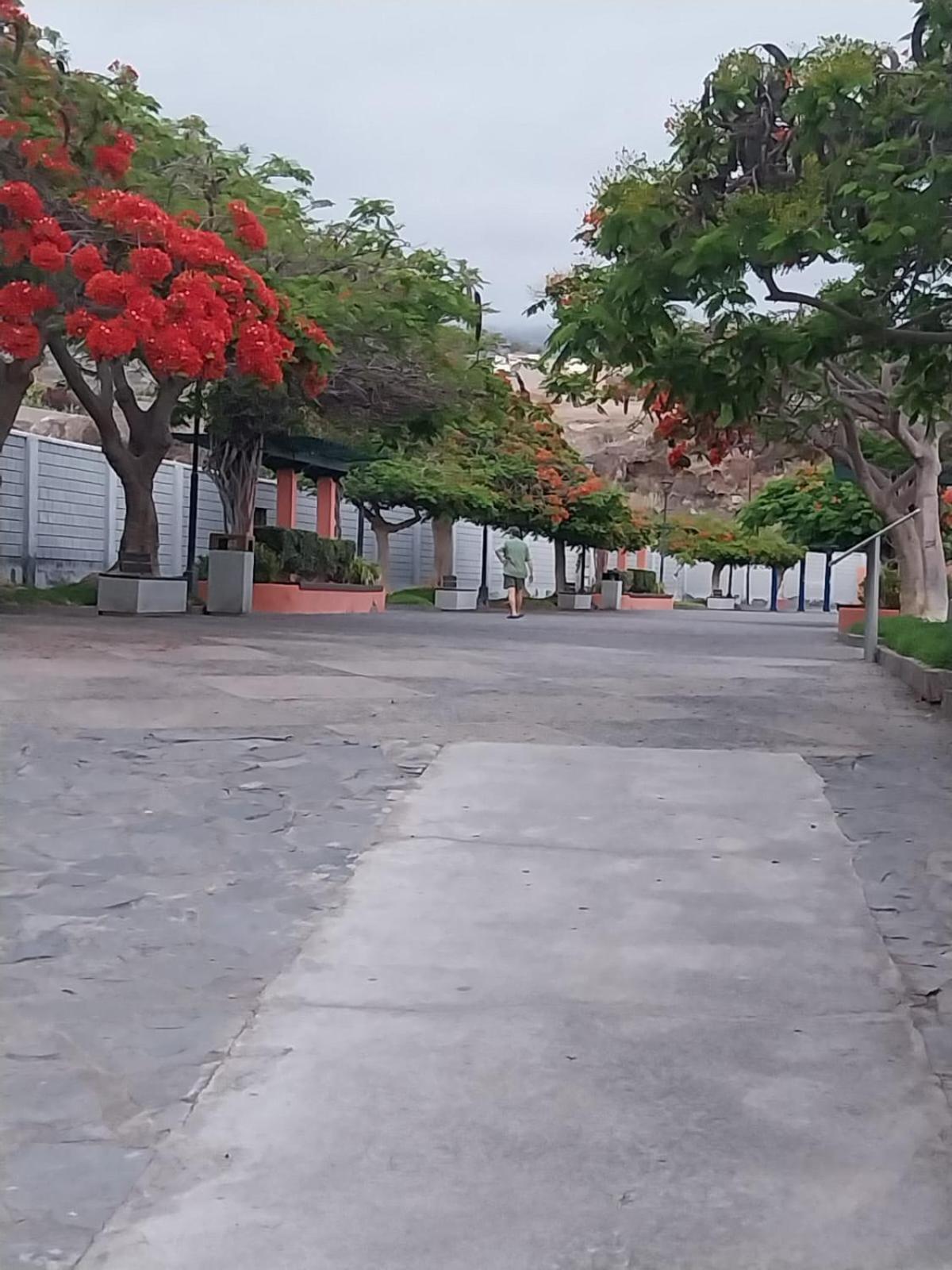 Mi Casita Tenerife Sur Free Wifi E Ac * Arona (Tenerife)