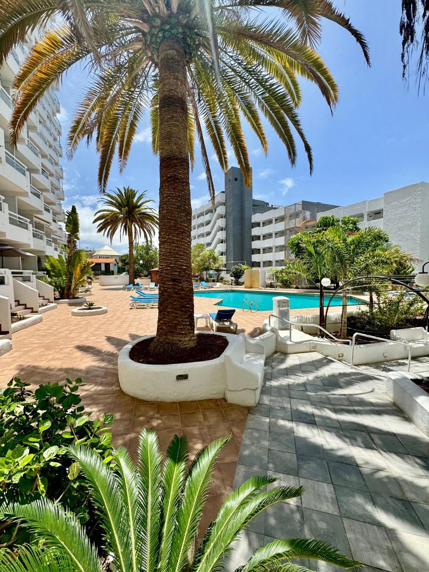 Apartamento Tenerife Sea View Sun 220