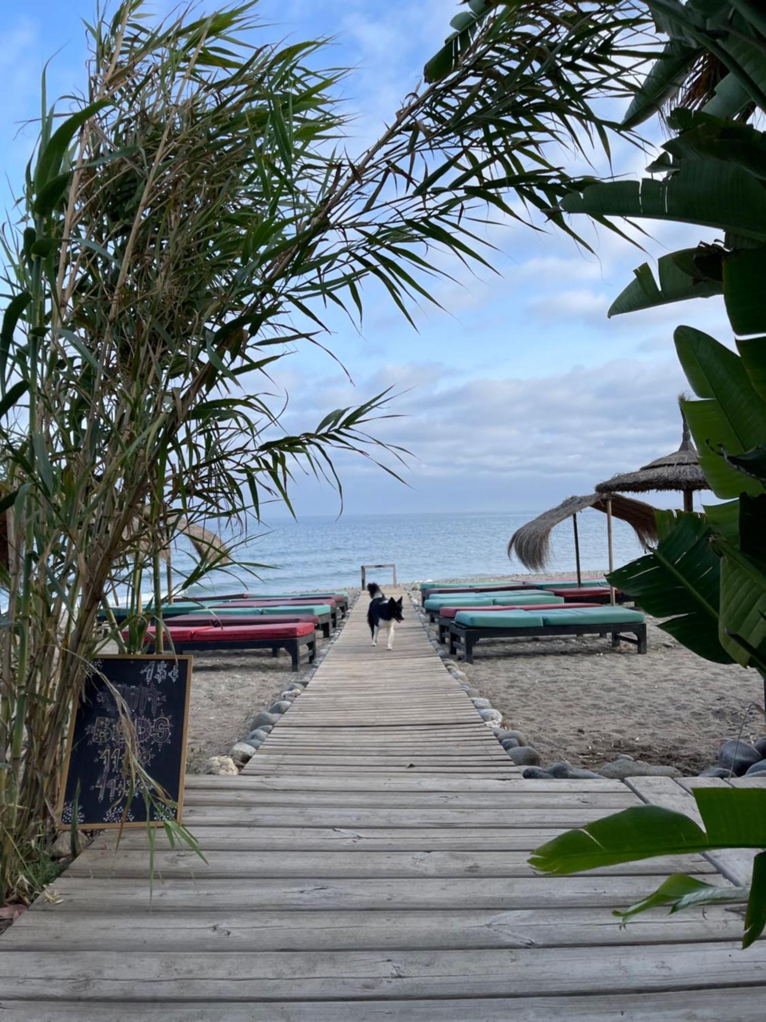 Apartamento Beachfront Escape Estepona