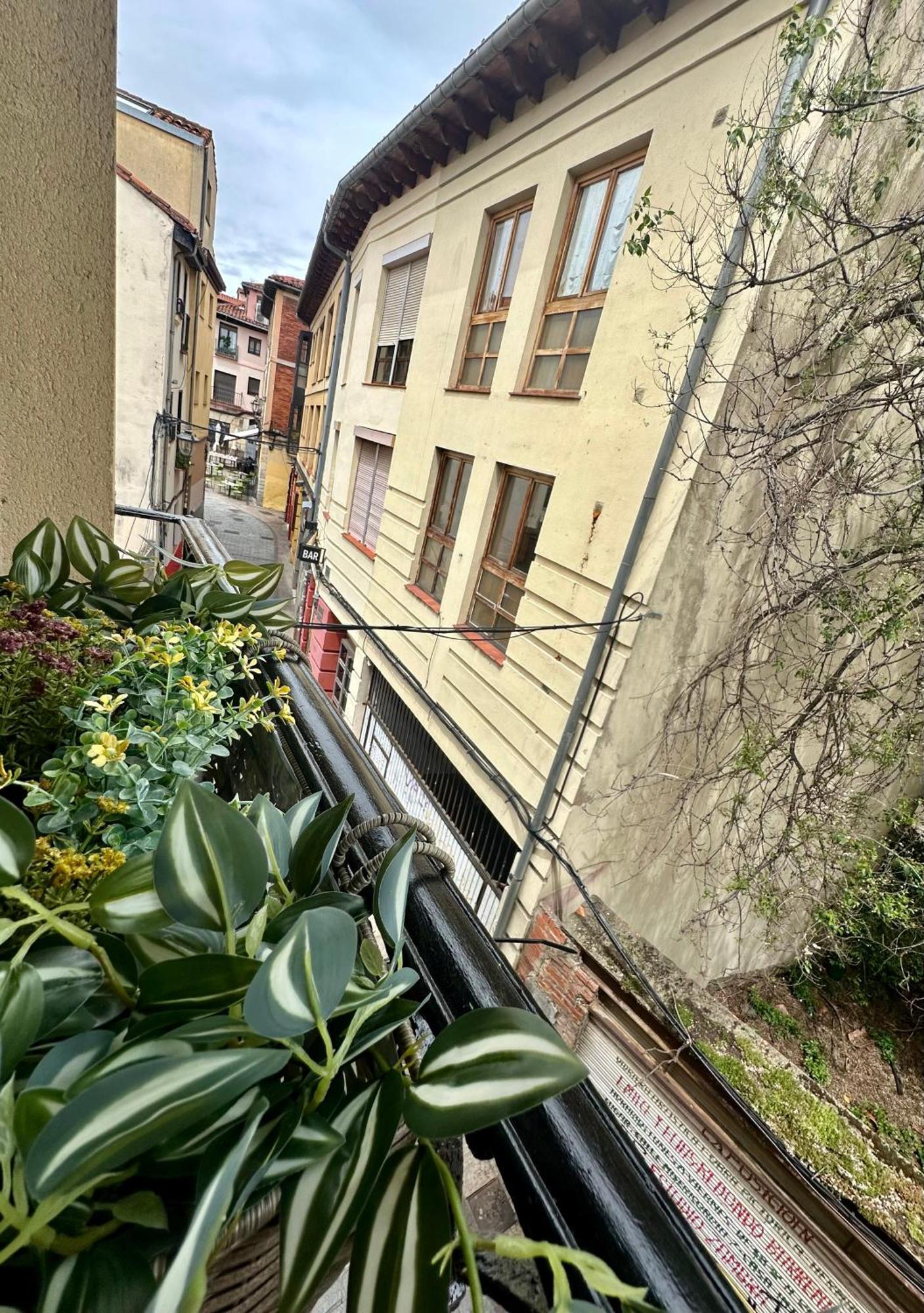 Apartamento Barrio Humedo León