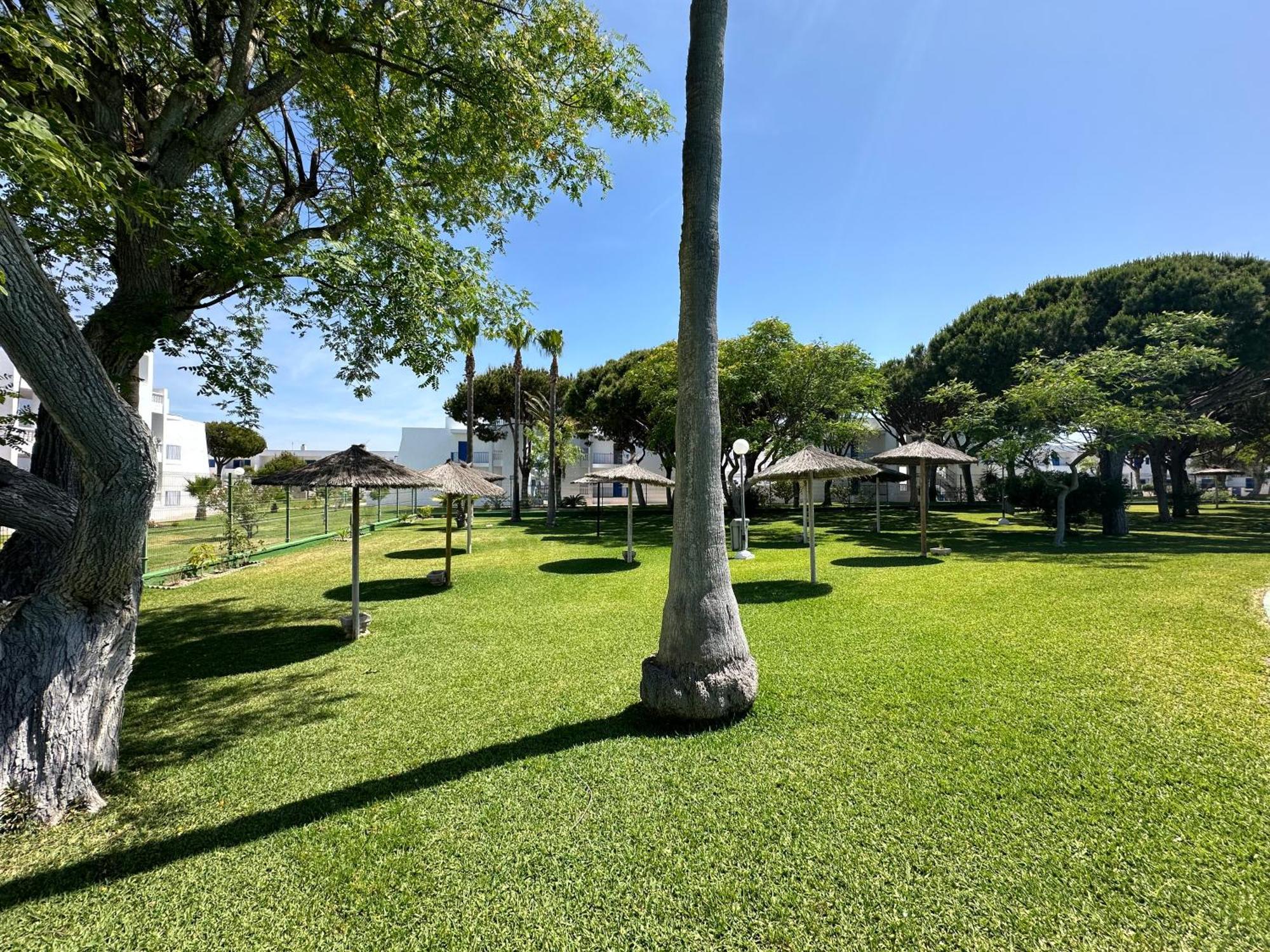 Segunda Pista *