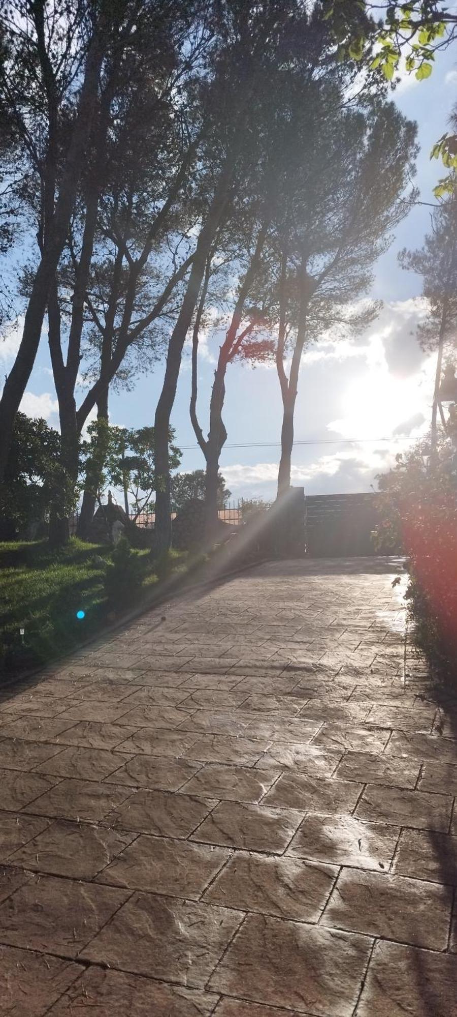 La Gevela *